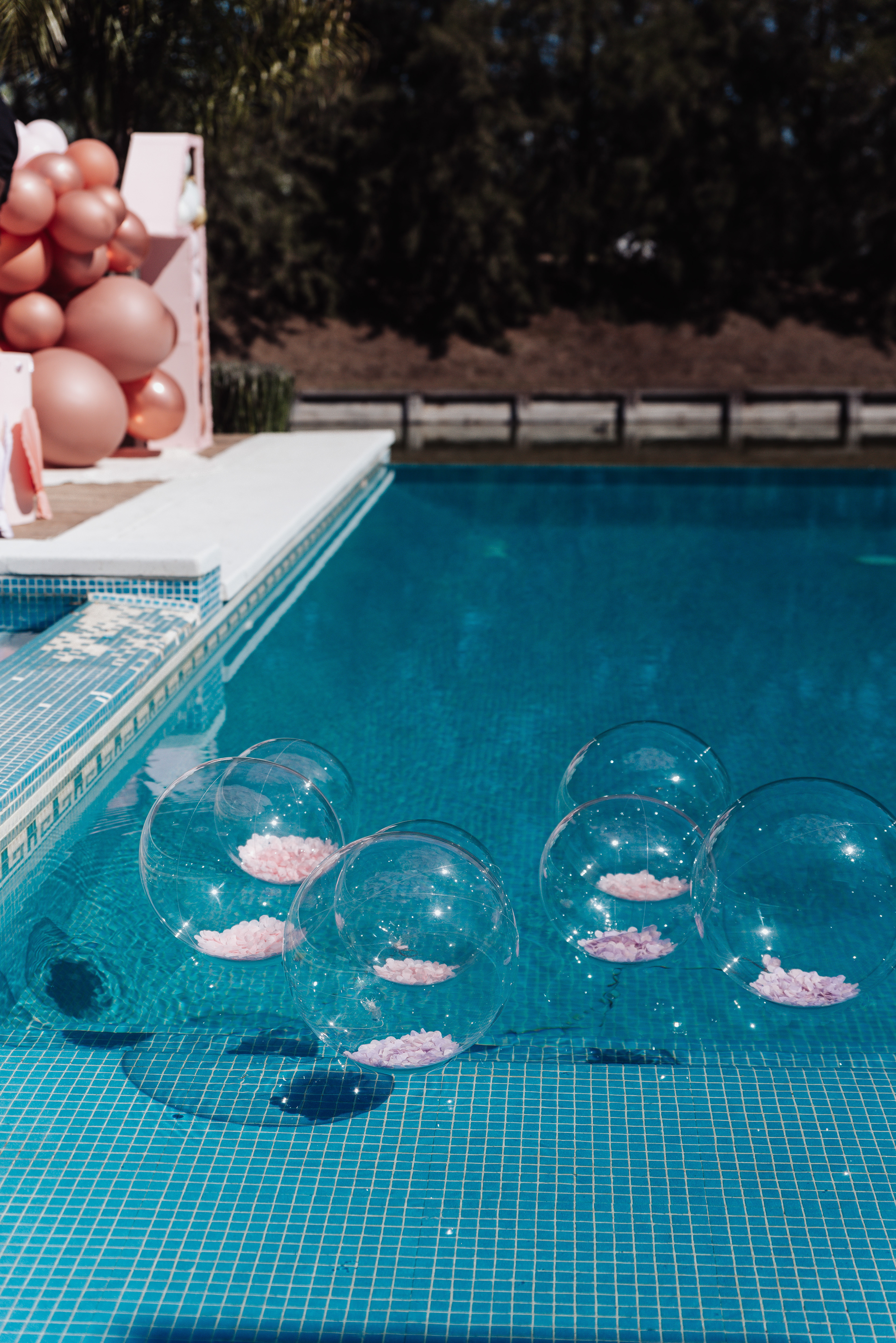 Copyright© ONPH fotografia. Todos los Derechos Reservados