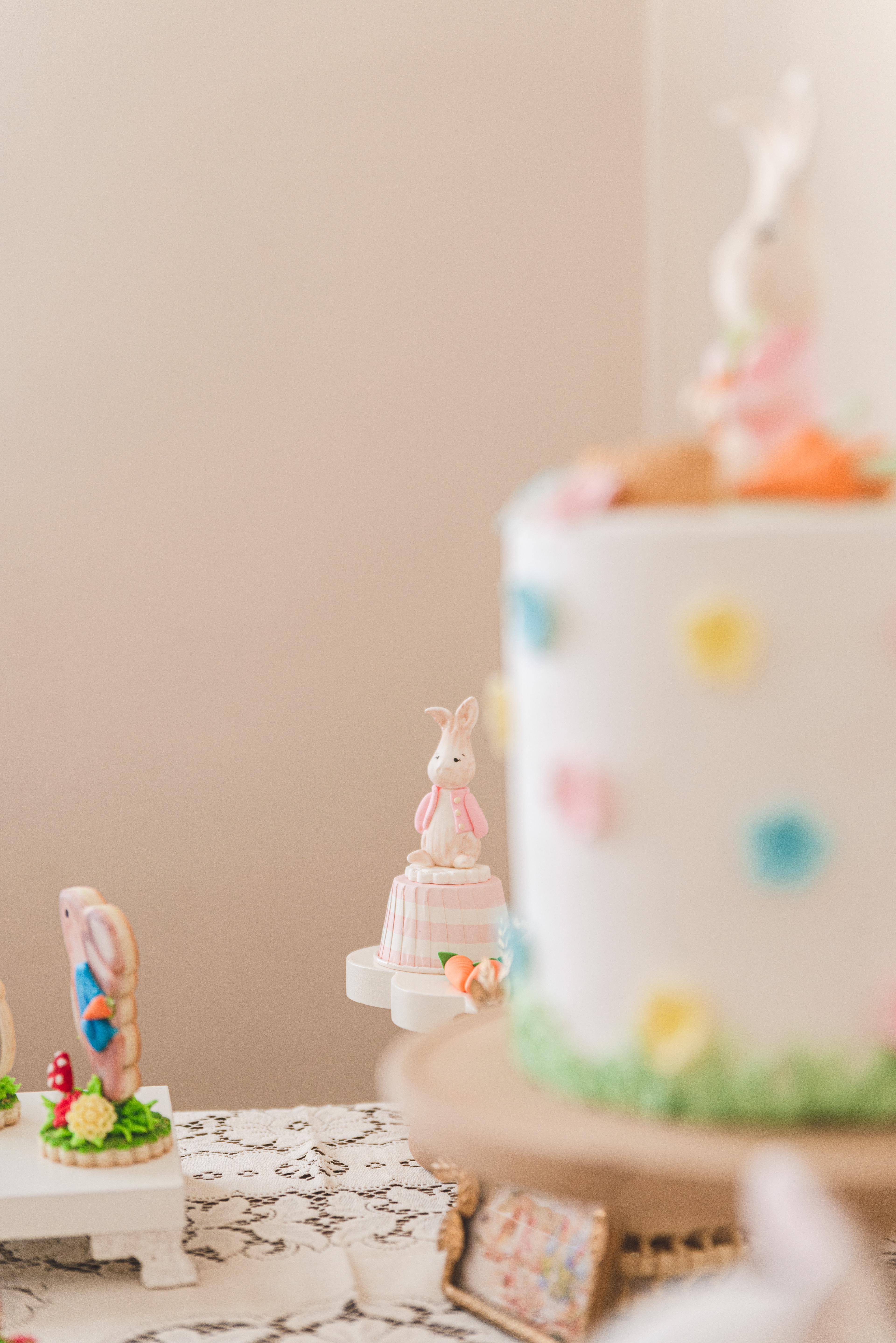 Copyright© ONPH fotografia. Todos los Derechos Reservados