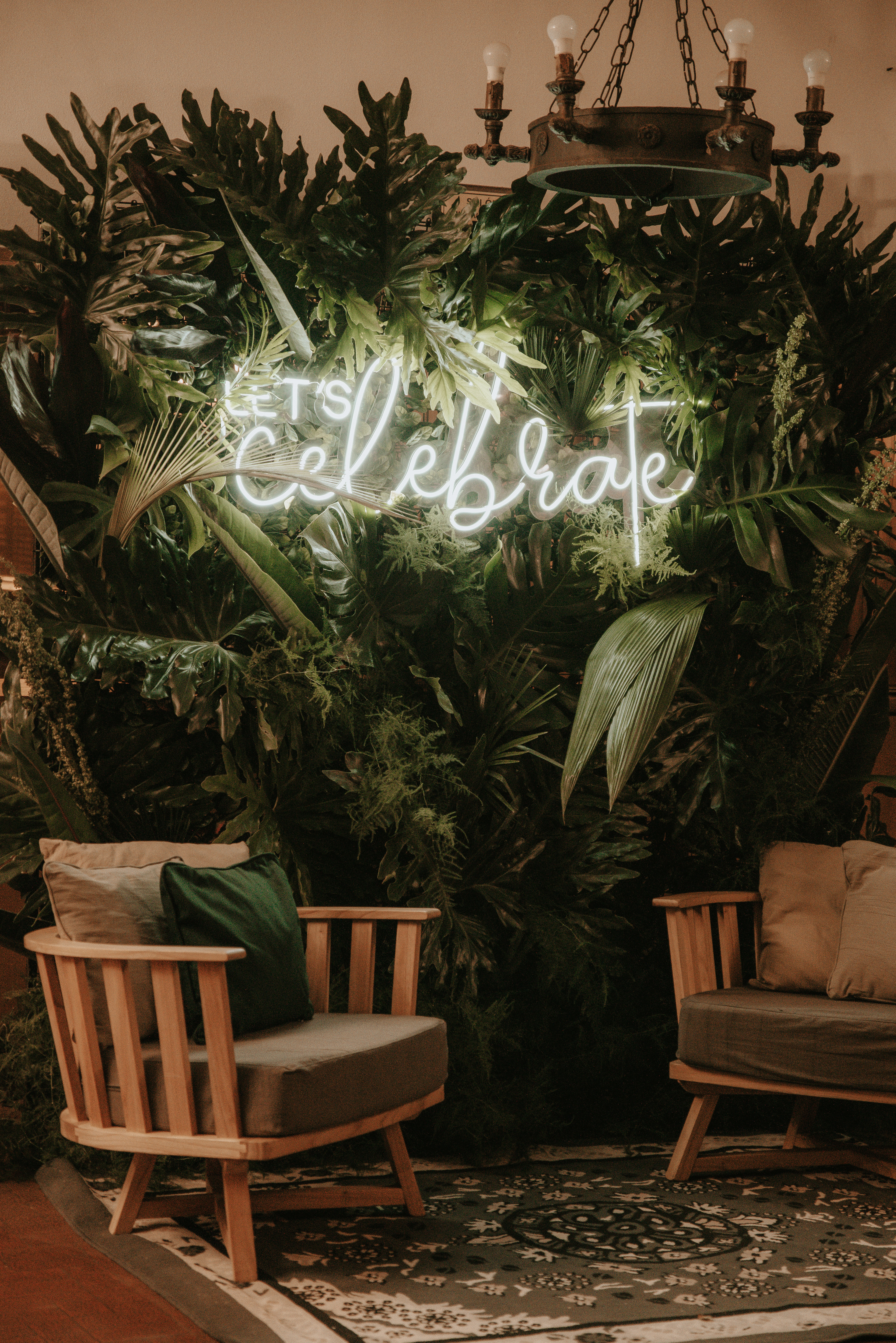 Copyright© ONPH fotografia. Todos los Derechos Reservados