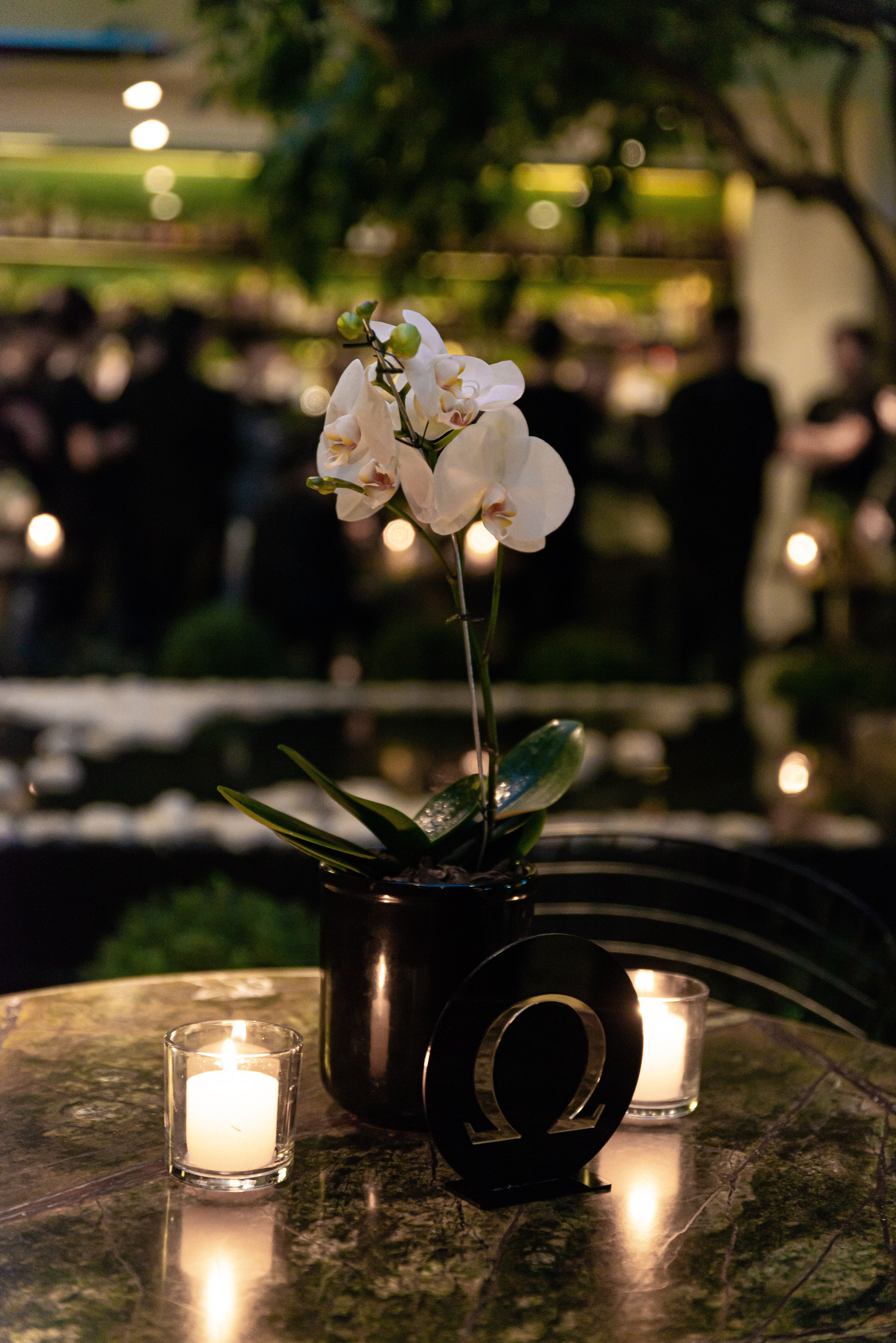 Copyright©2022 ONPH fotografia. Todos los Derechos Reservados