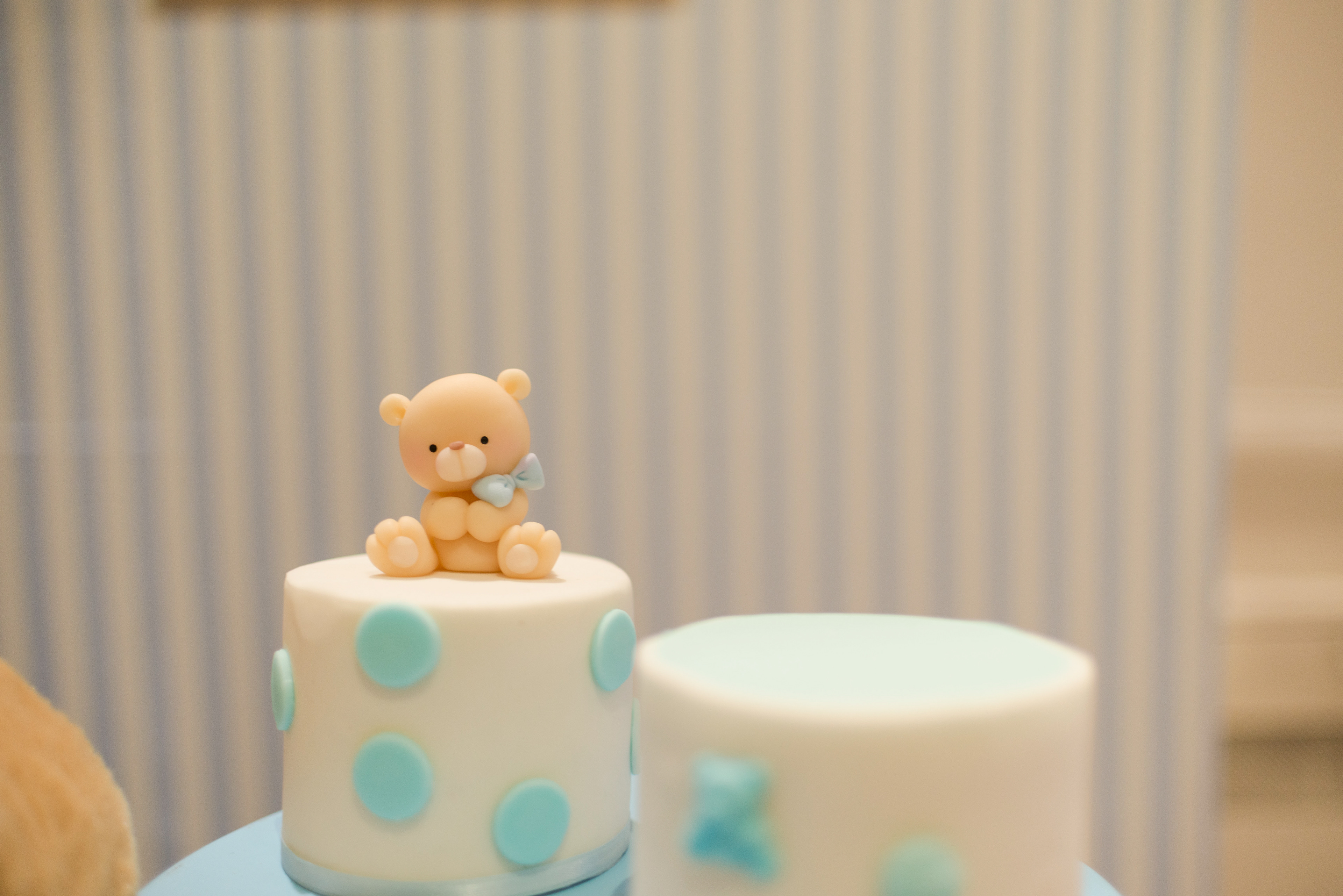 Copyright 2019 ONPH fotografía. Todos los derechos reservados.