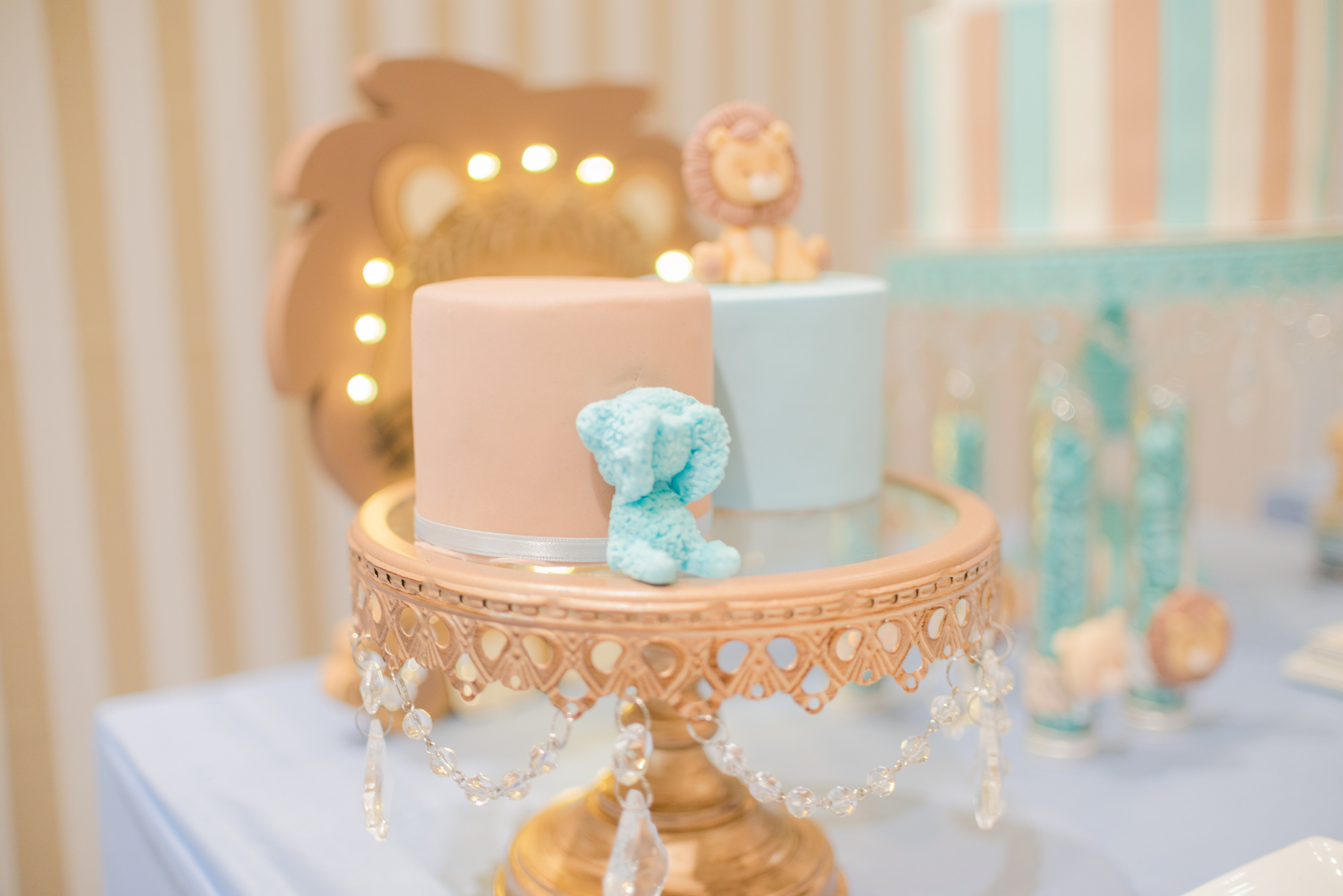 Copyright 2019 ONPH fotografía. Todos los derechos reservados.