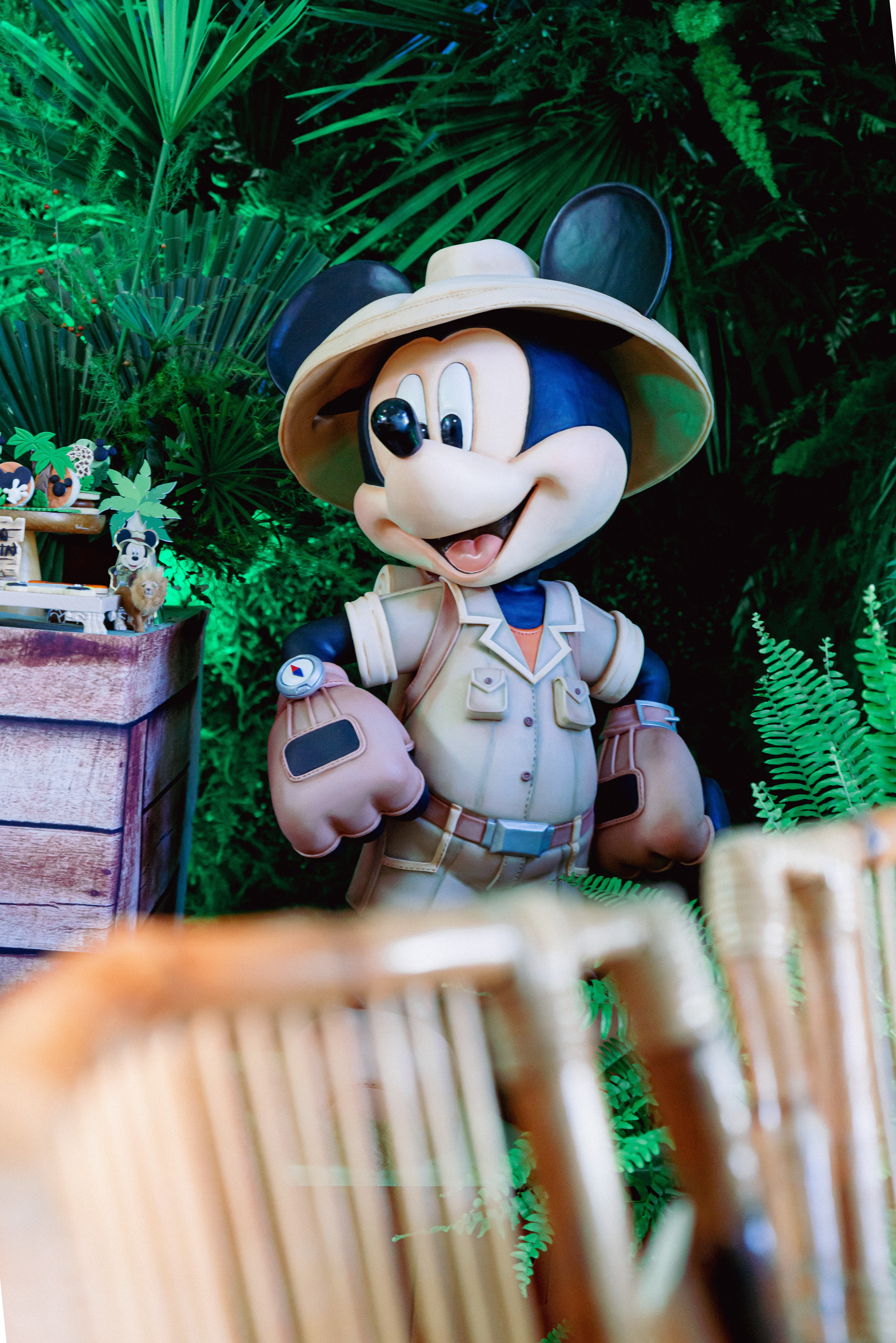 Copyright© ONPH fotografia. Todos los Derechos Reservados