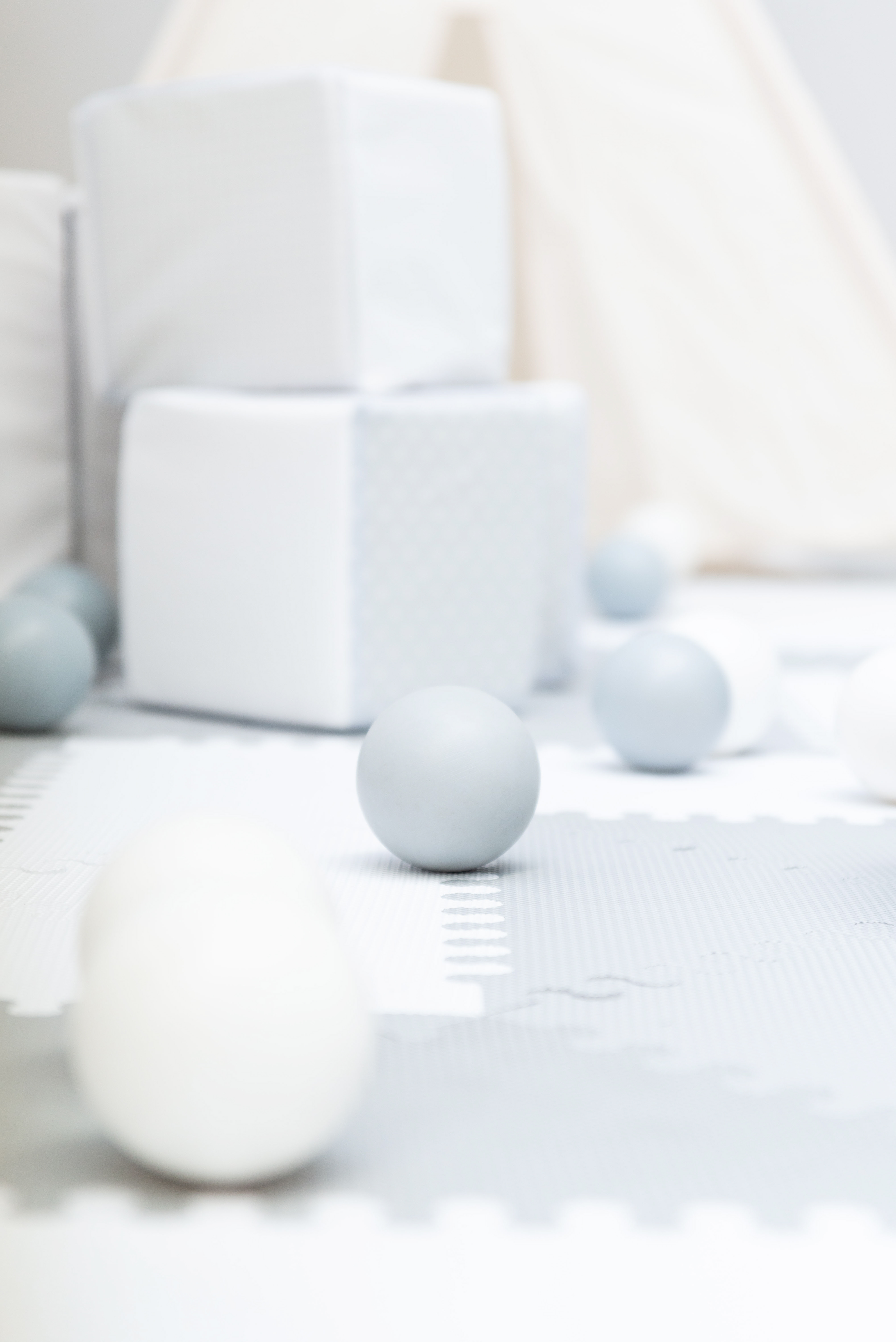 Copyright© ONPH fotografia. Todos los Derechos Reservados