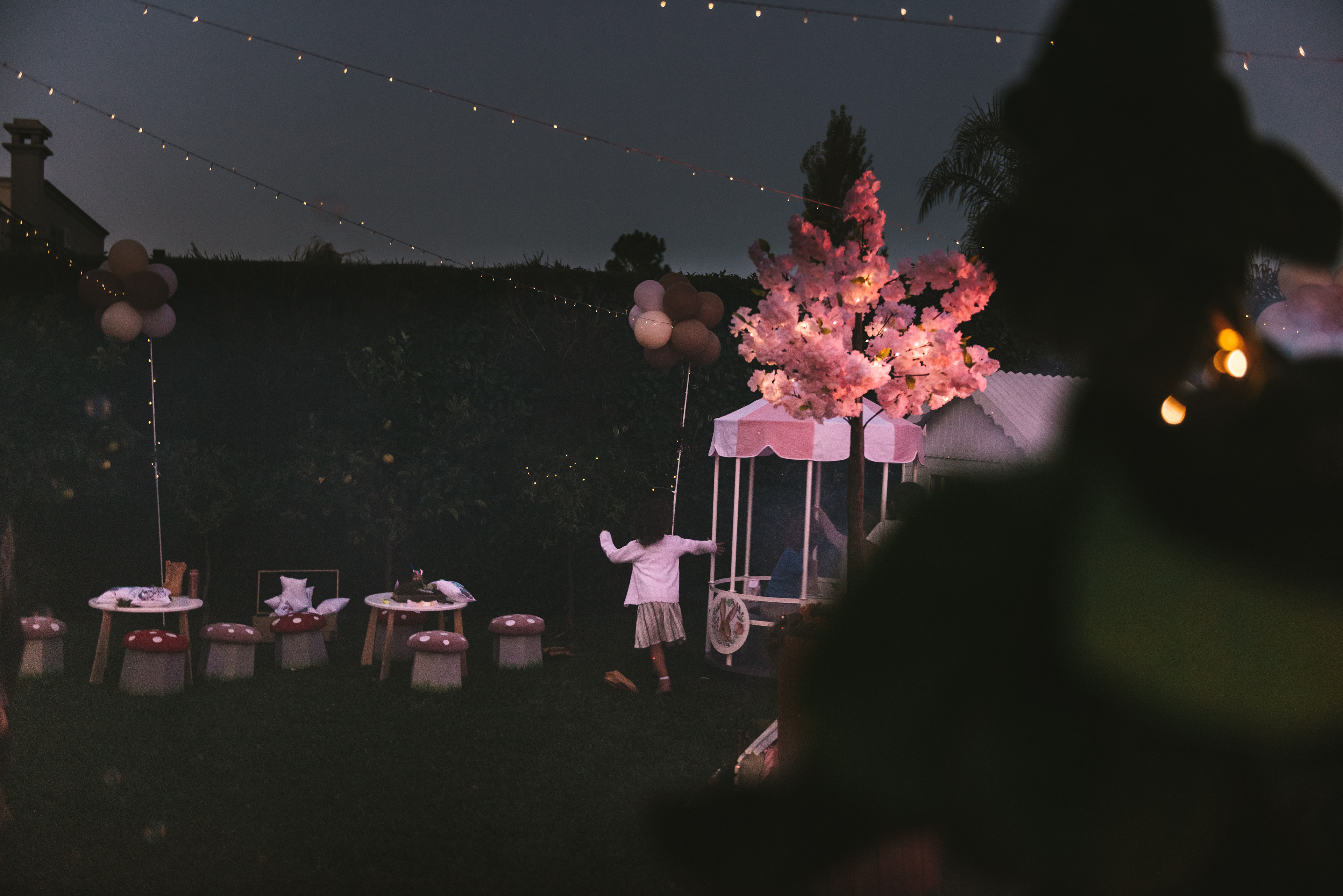 Copyright© 2021 ONPH fotografía. Todos los derechos reservados.