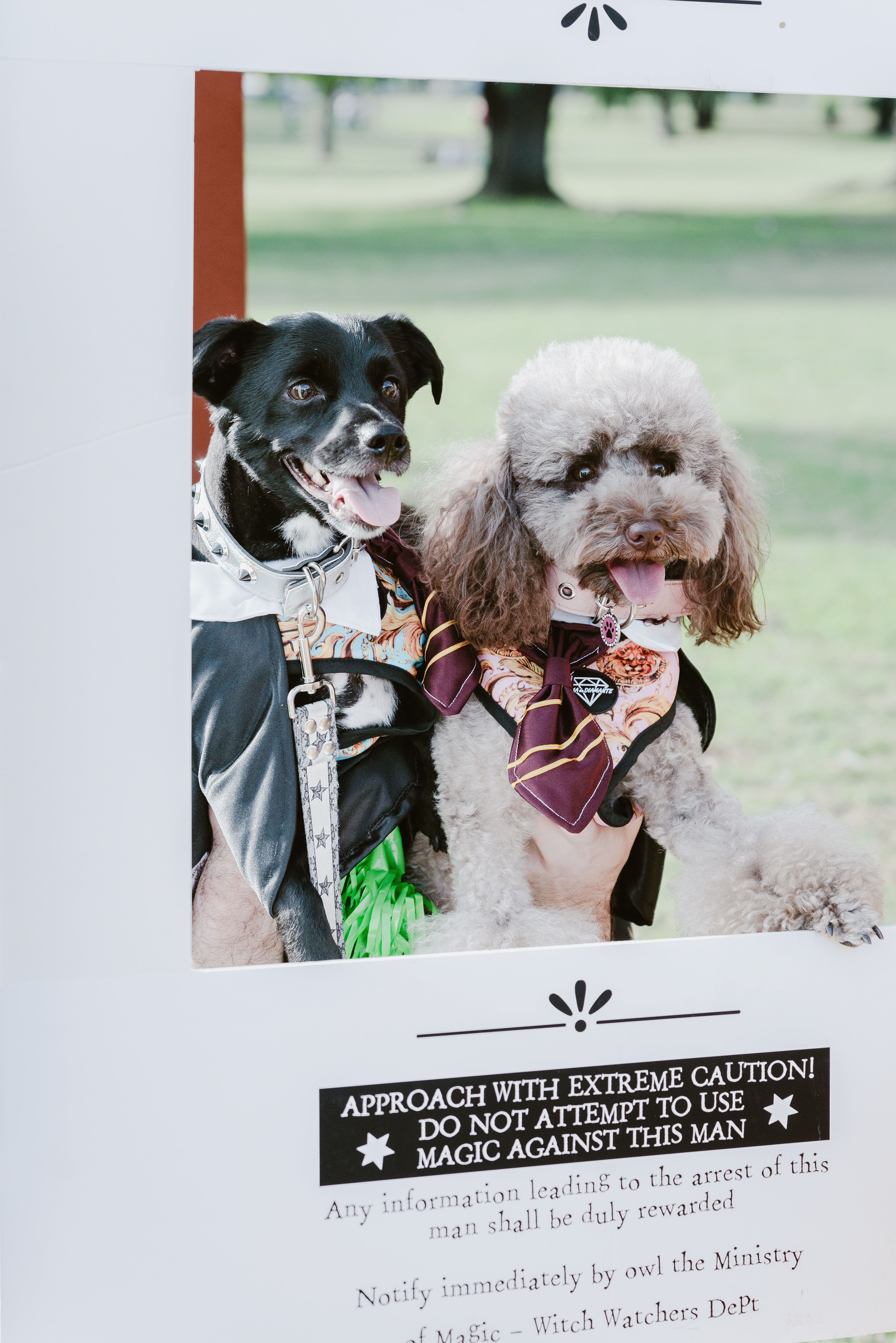 Copyright© ONPH fotografia. Todos los Derechos Reservados