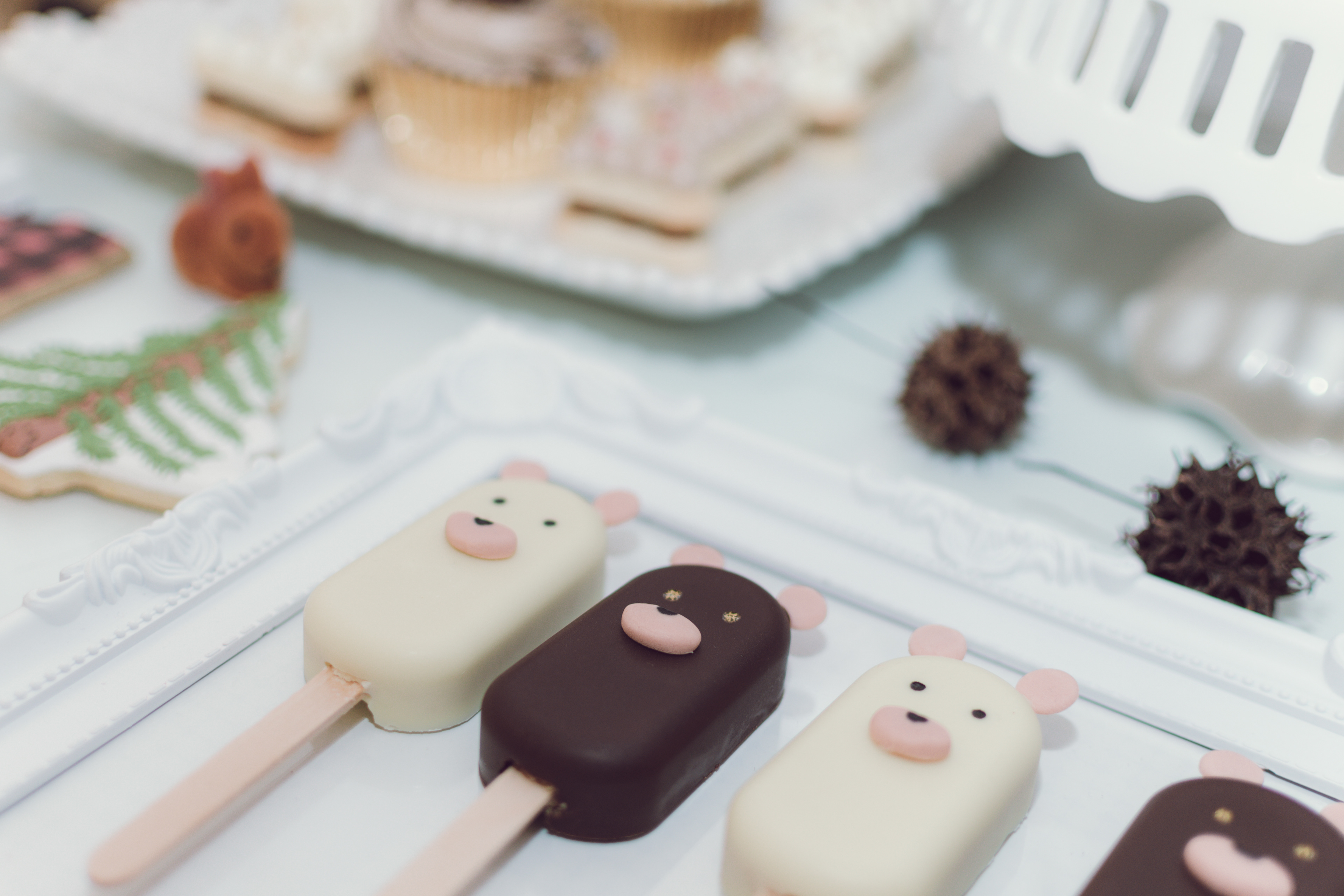 Copyright 2019 ONPH fotografía. Todos los derechos reservados.