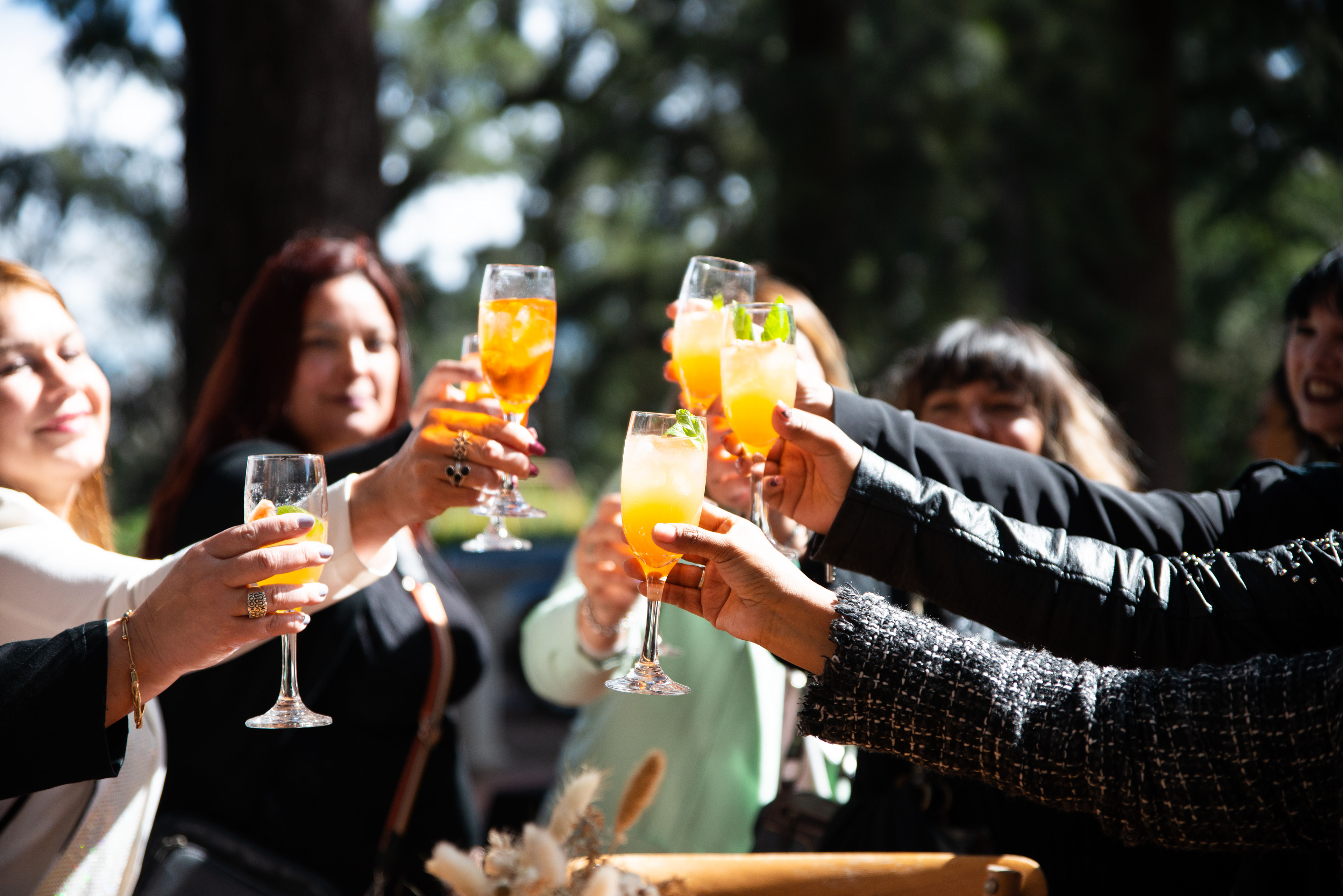 Copyright© ONPH fotografia. Todos los Derechos Reservados