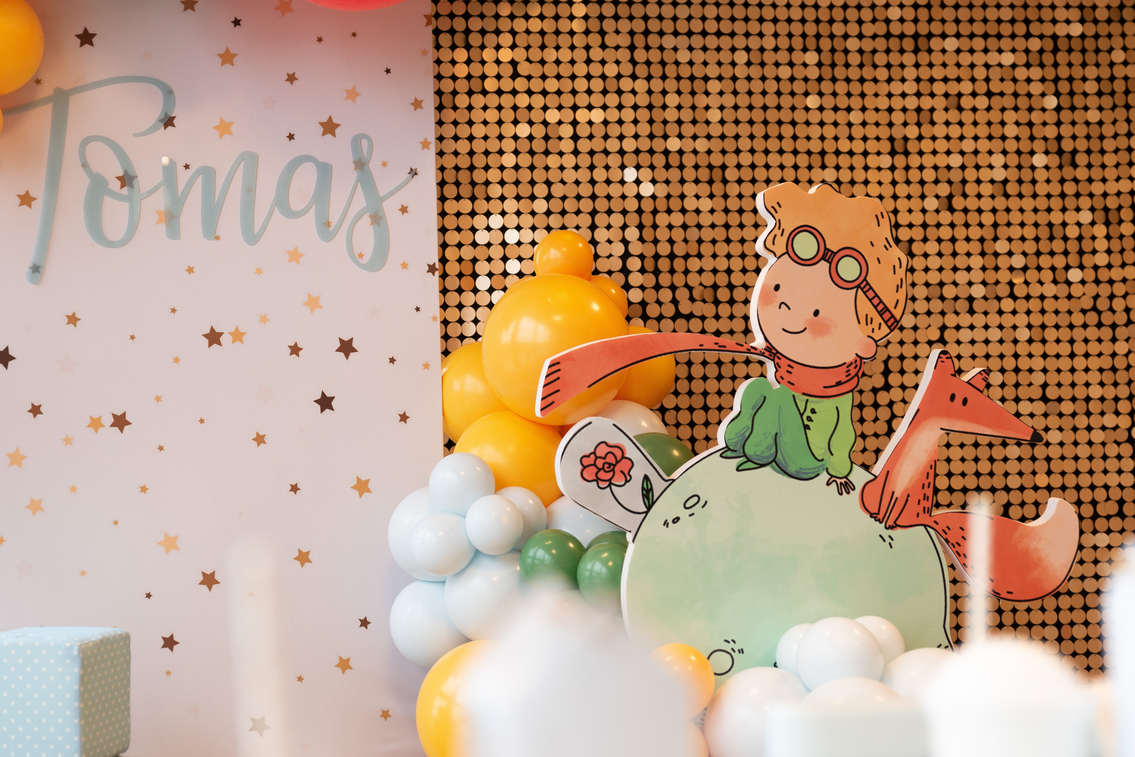 Copyright© ONPH fotografia. Todos los Derechos Reservados