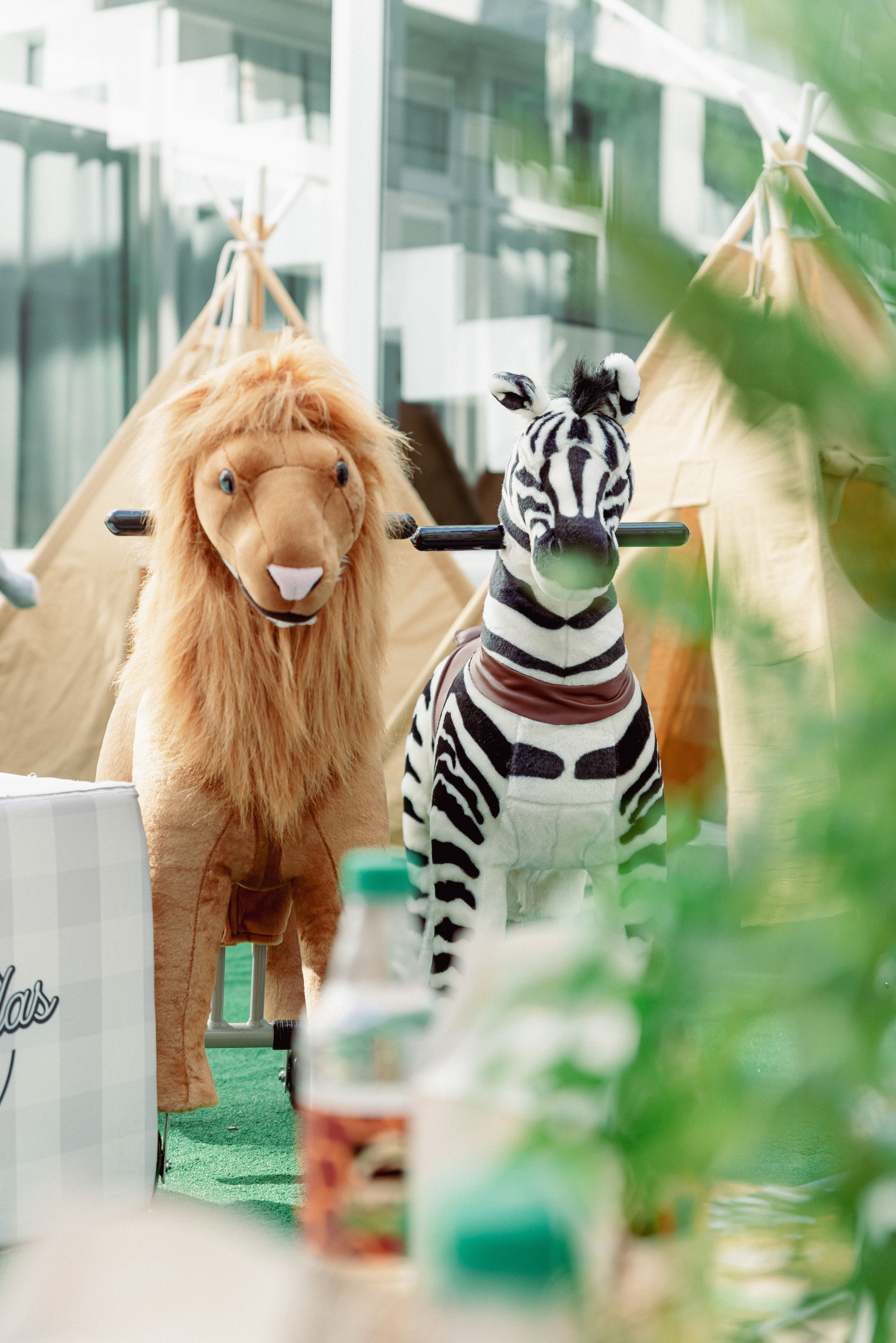 Copyright© ONPH fotografia. Todos los Derechos Reservados