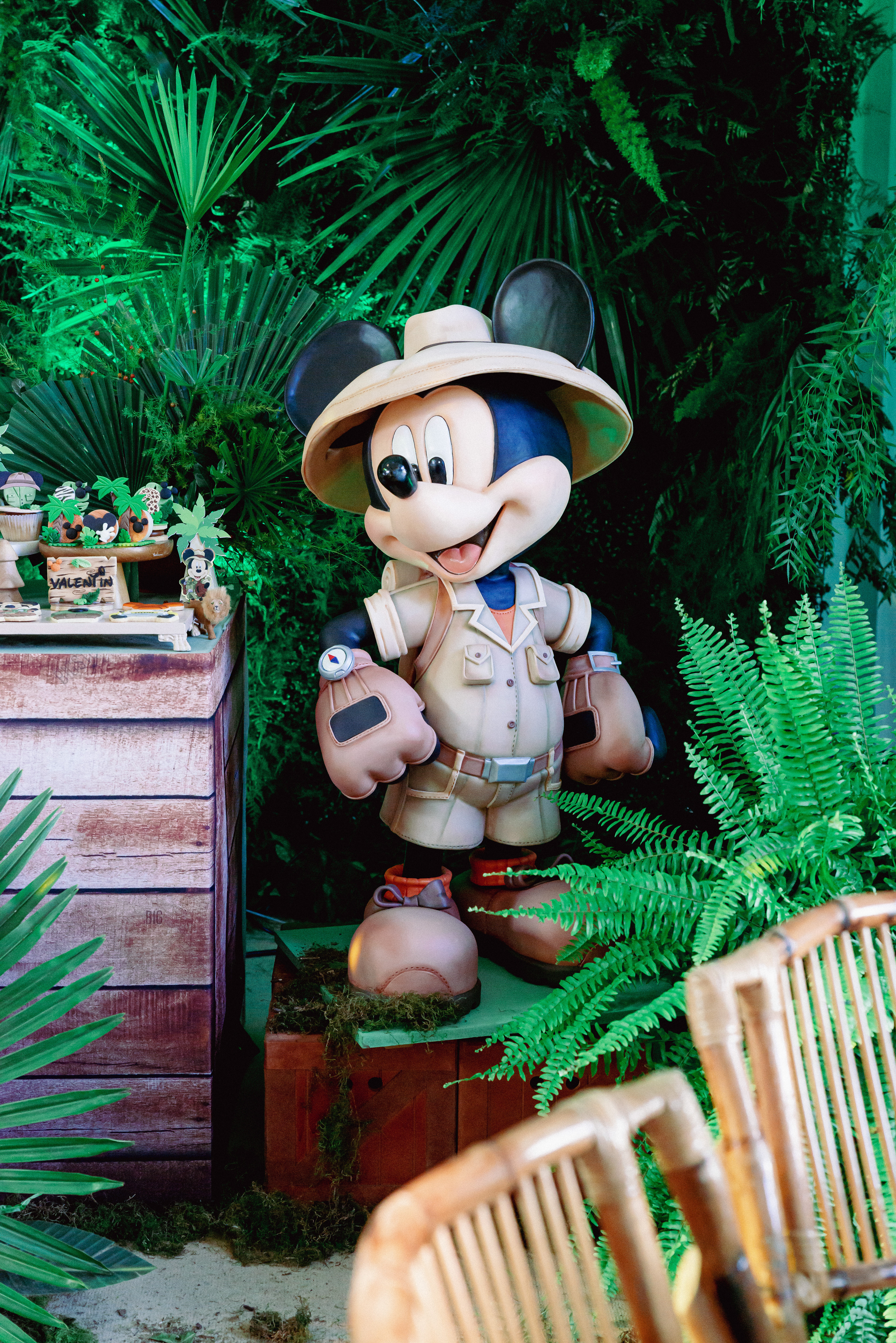 Copyright© ONPH fotografia. Todos los Derechos Reservados