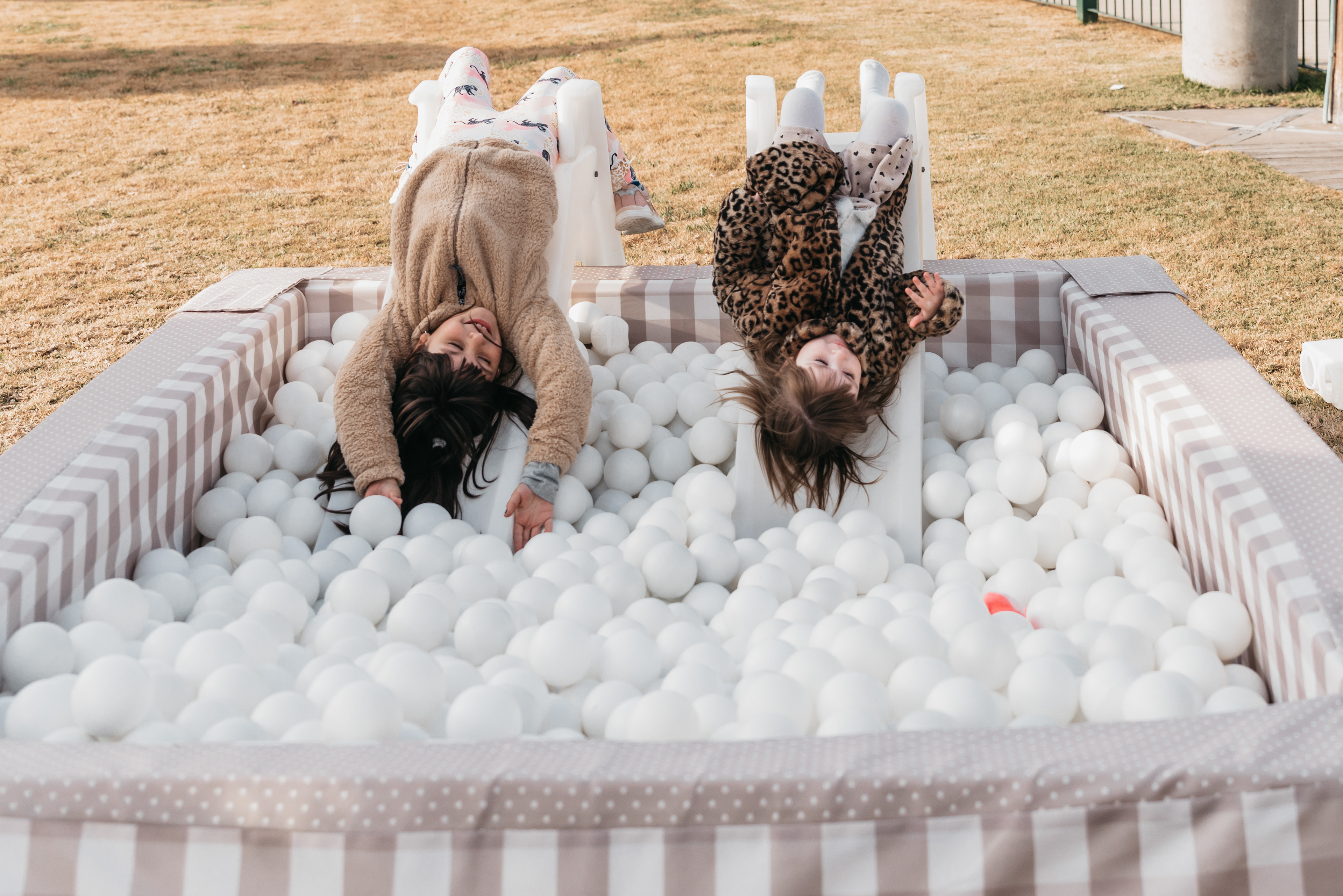 Copyright© ONPH fotografia. Todos los Derechos Reservados