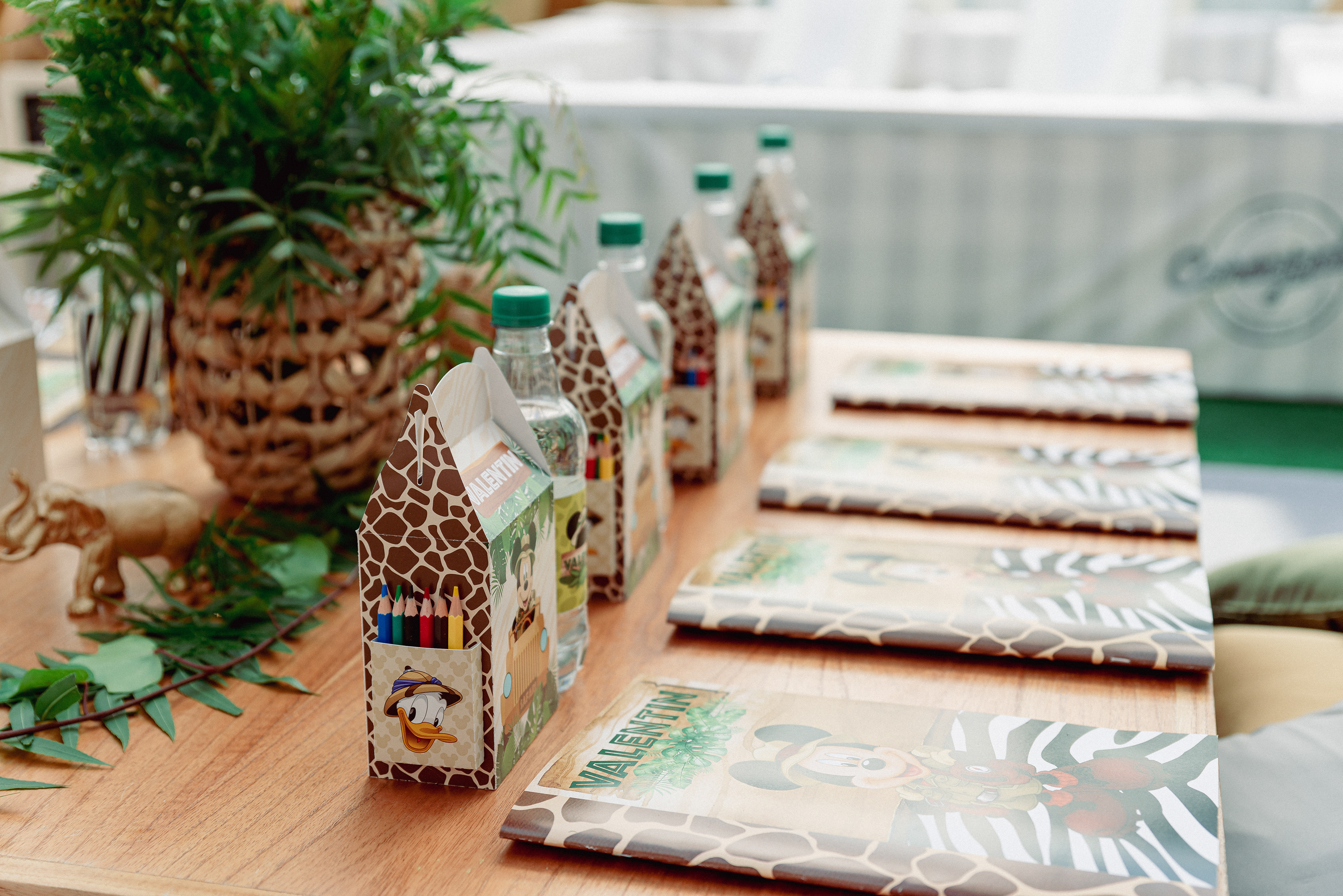 Copyright© ONPH fotografia. Todos los Derechos Reservados