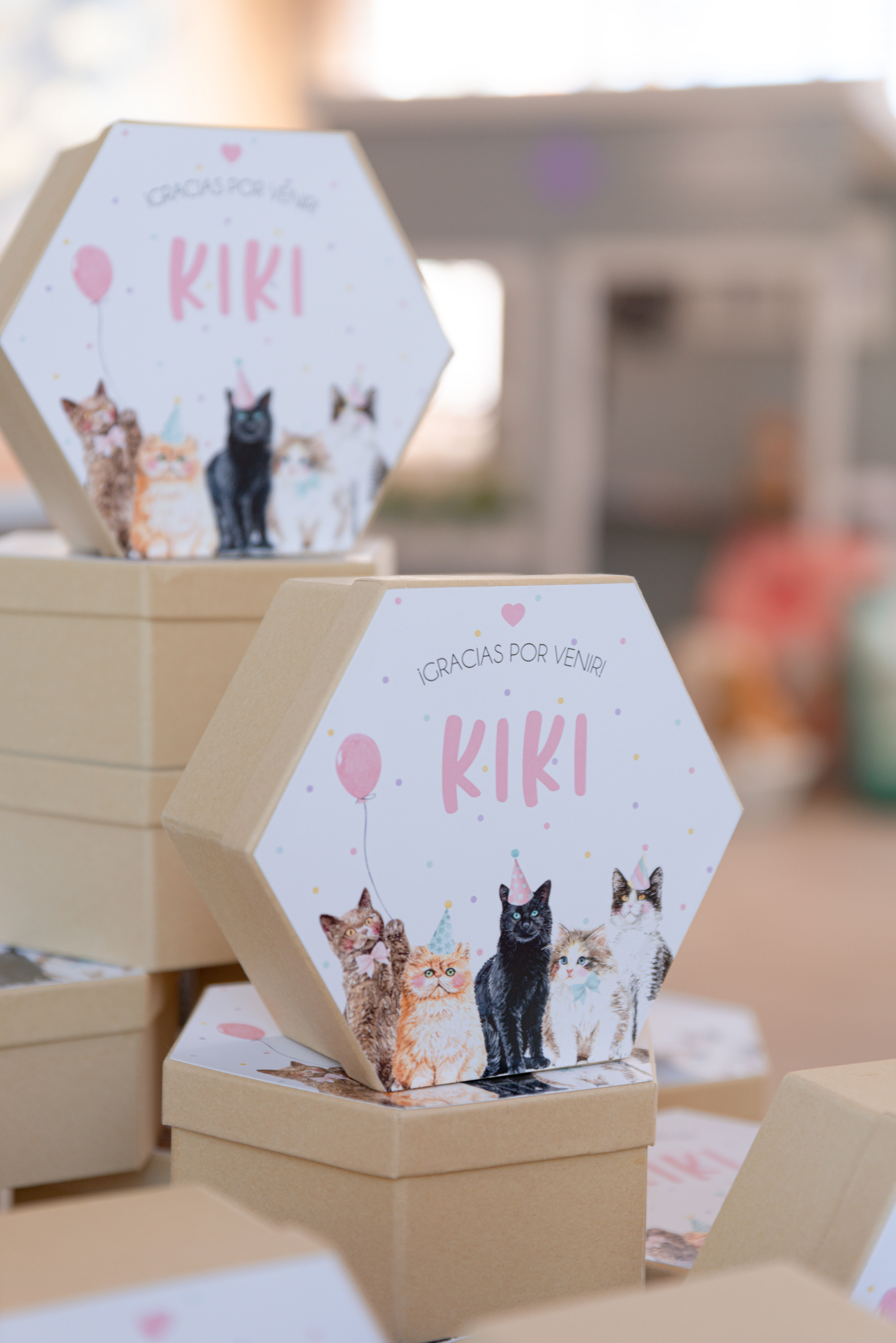 Copyright© ONPH fotografia. Todos los Derechos Reservados