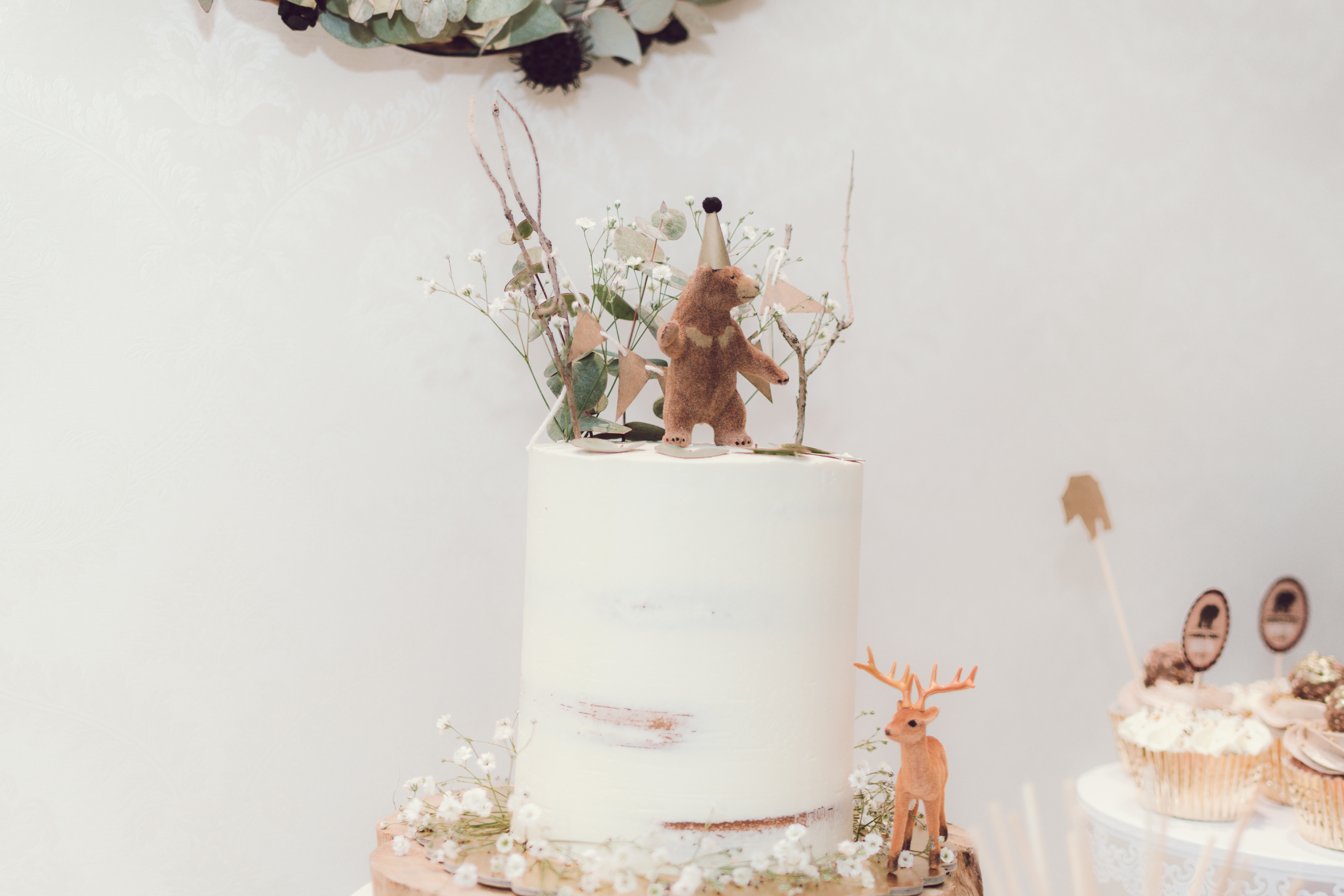 Copyright 2019 ONPH fotografía. Todos los derechos reservados.