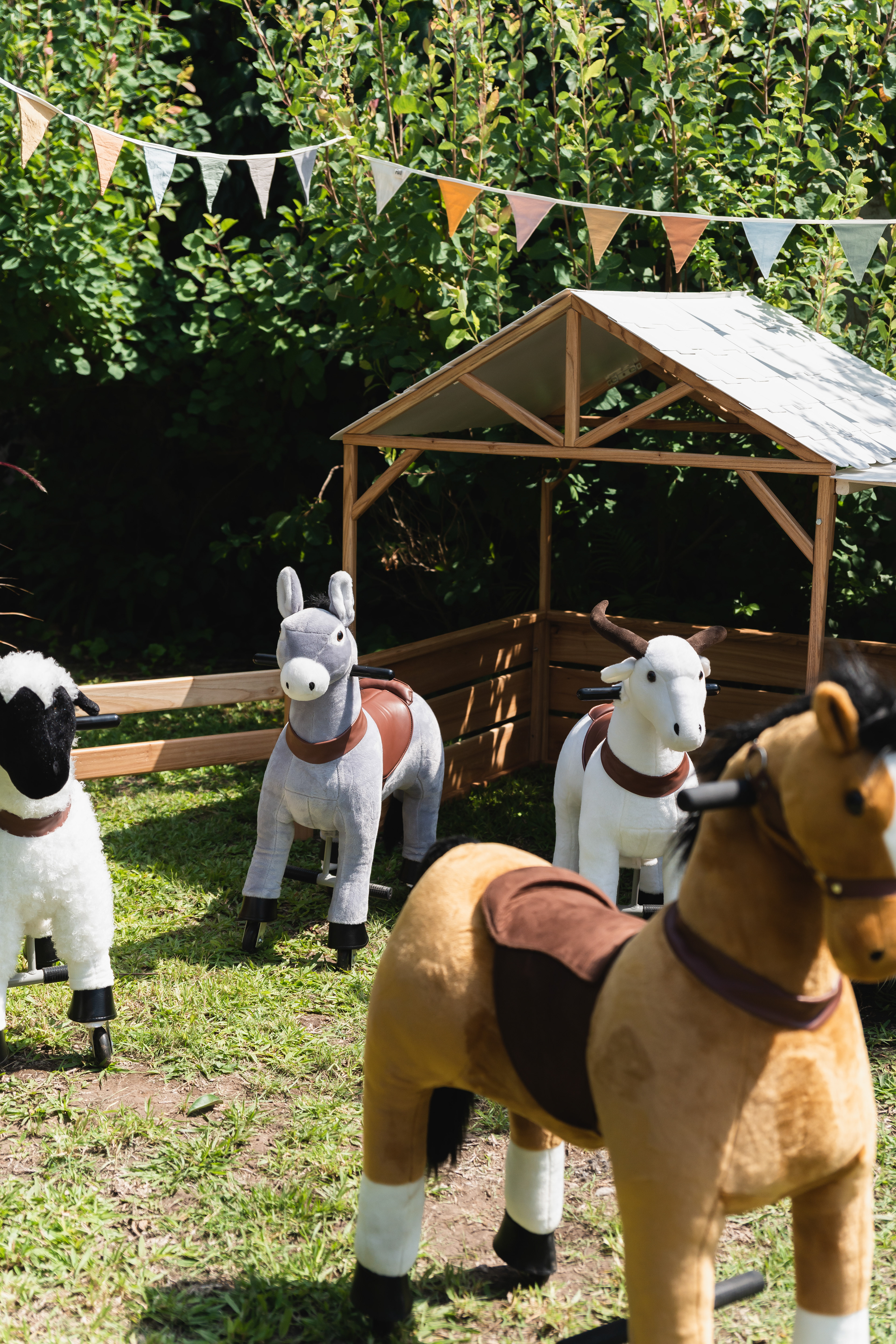 Copyright© ONPH fotografia. Todos los Derechos Reservados