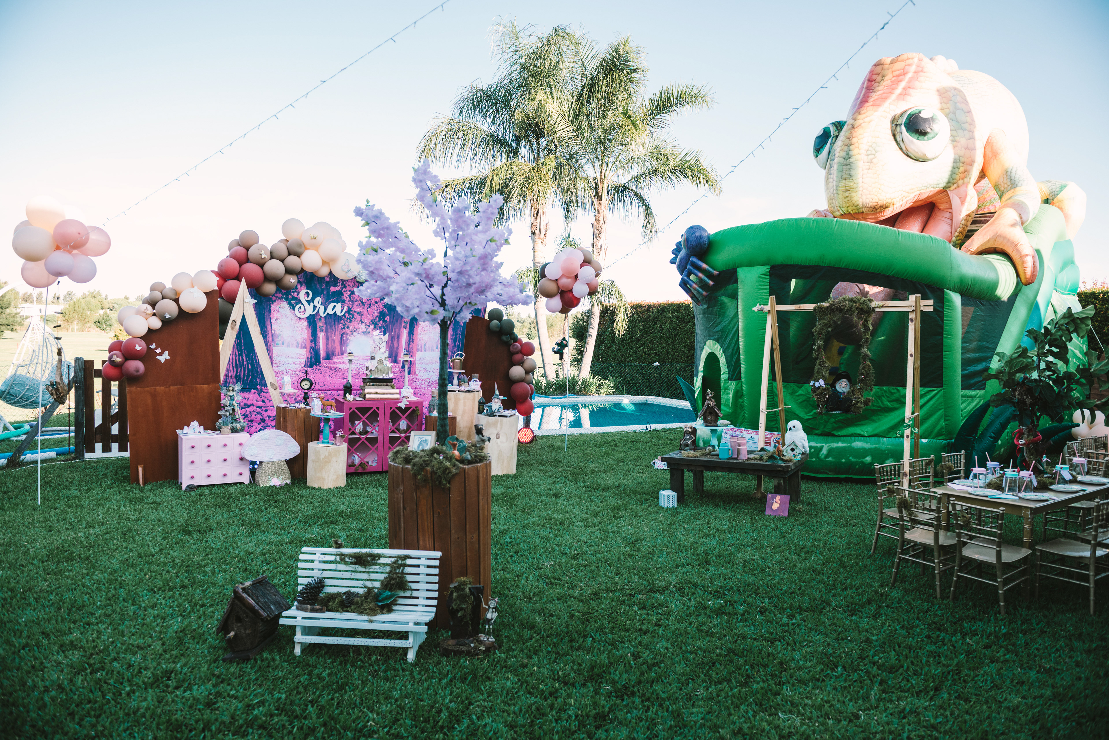 Copyright© 2021 ONPH fotografía. Todos los derechos reservados.