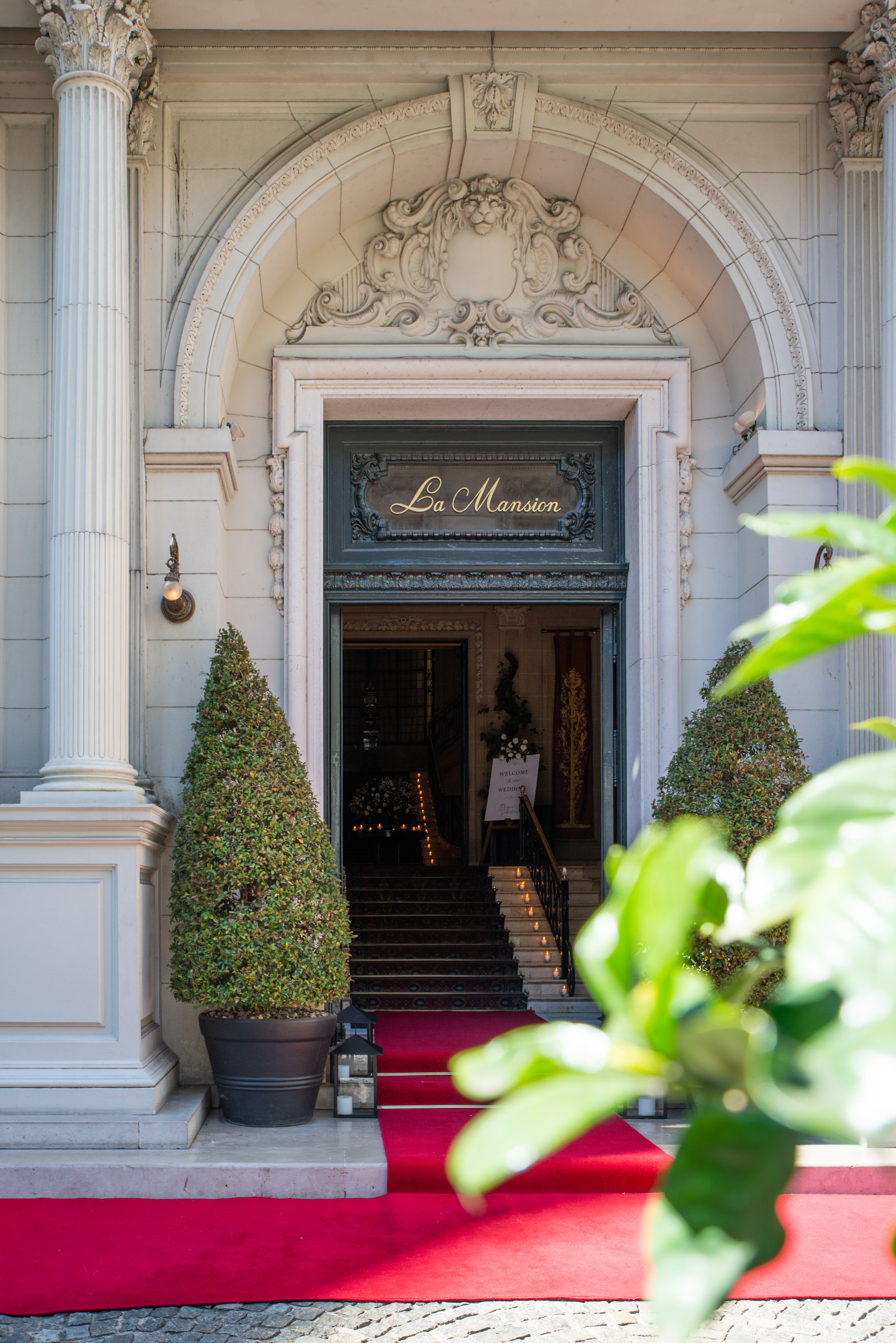 Copyright© ONPH fotografia. Todos los Derechos Reservados