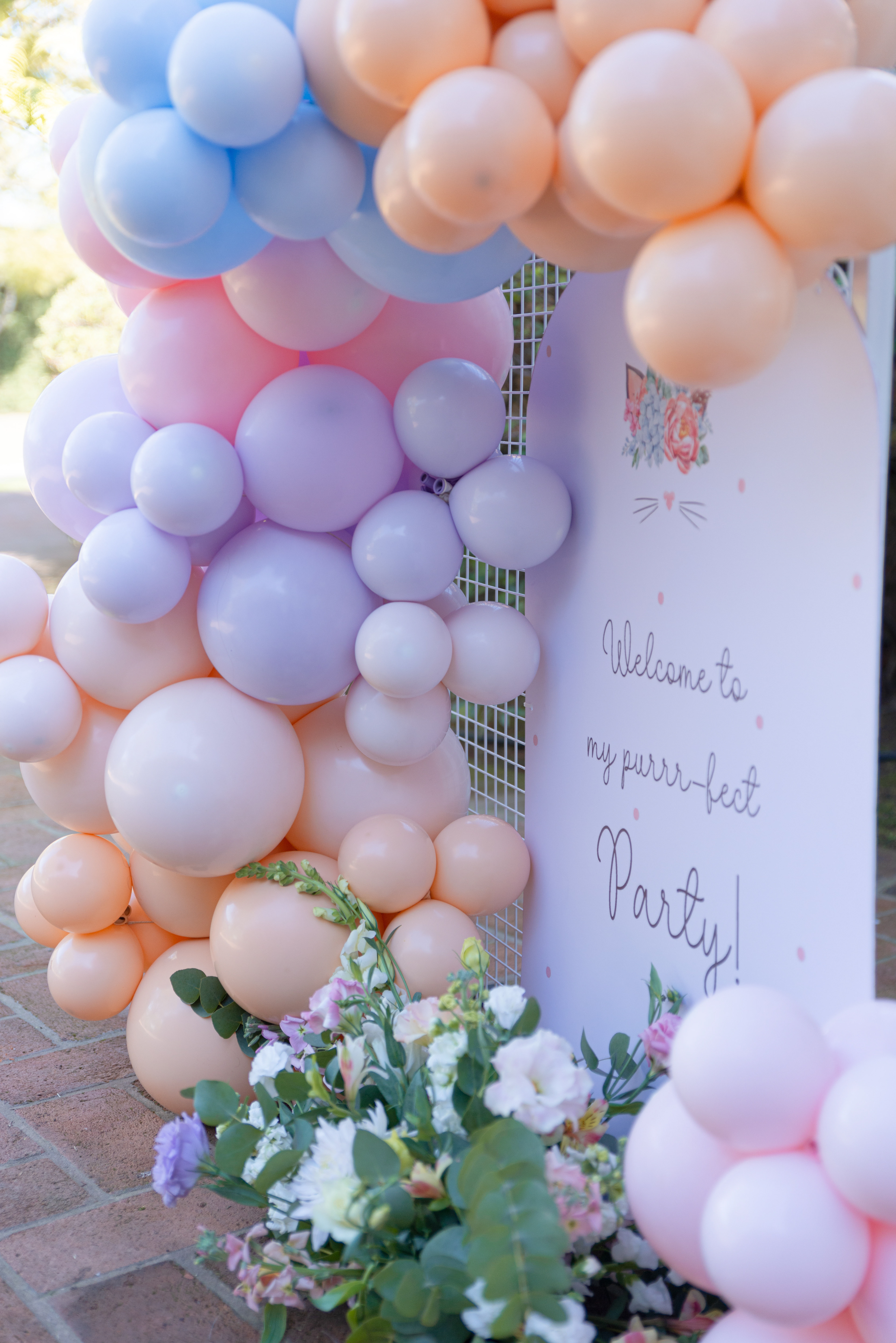 Copyright© ONPH fotografia. Todos los Derechos Reservados