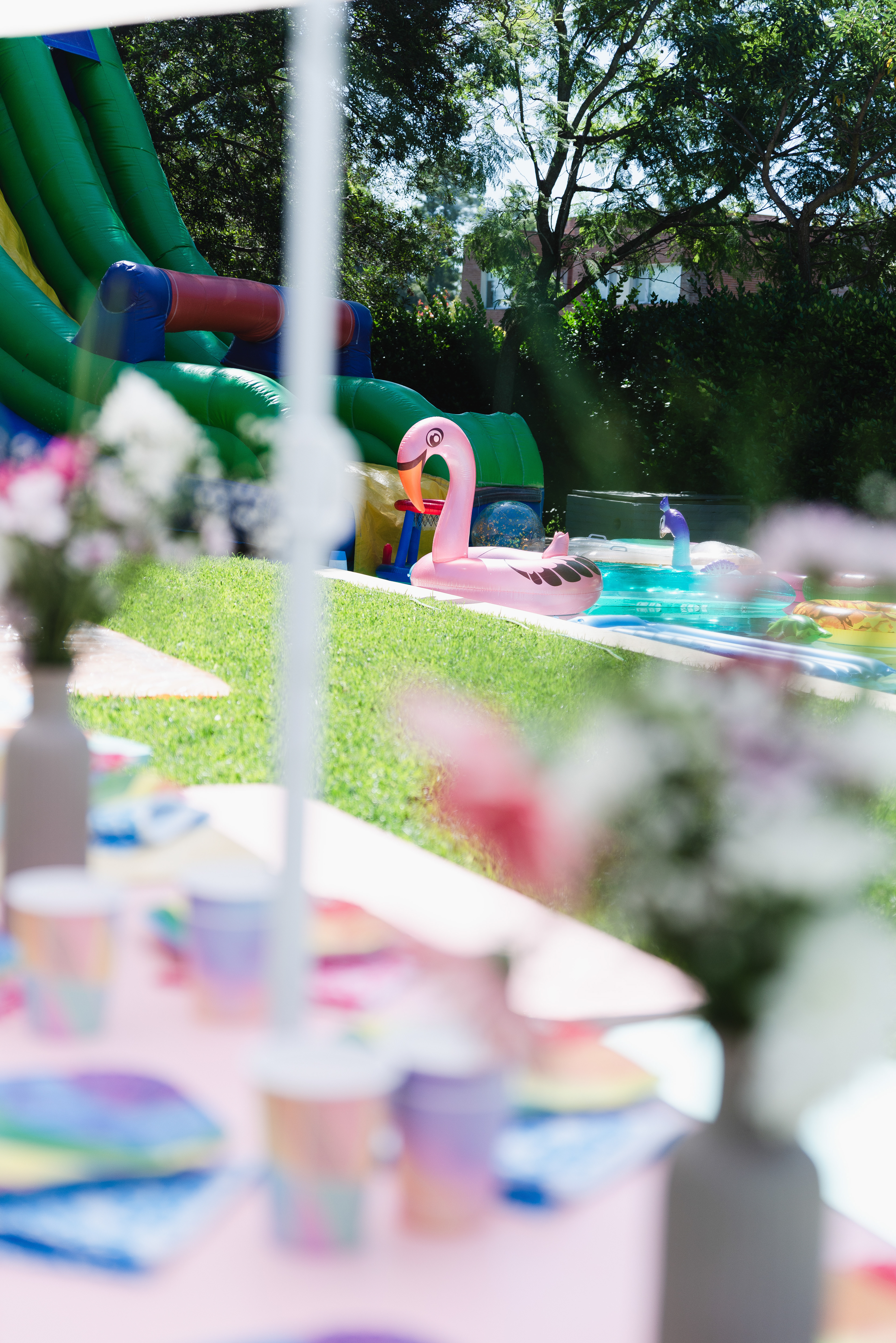 Copyright© ONPH fotografia. Todos los Derechos Reservados