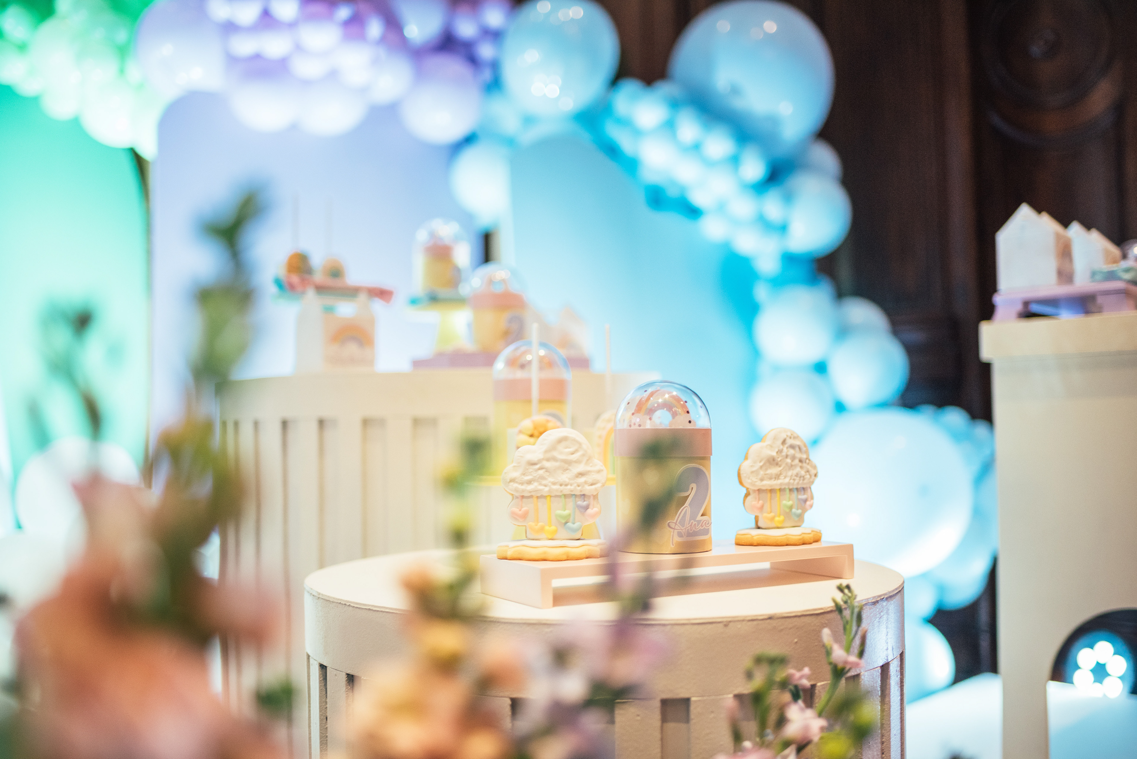 Copyright©2023 ONPH fotografia. Todos los Derechos Reservados