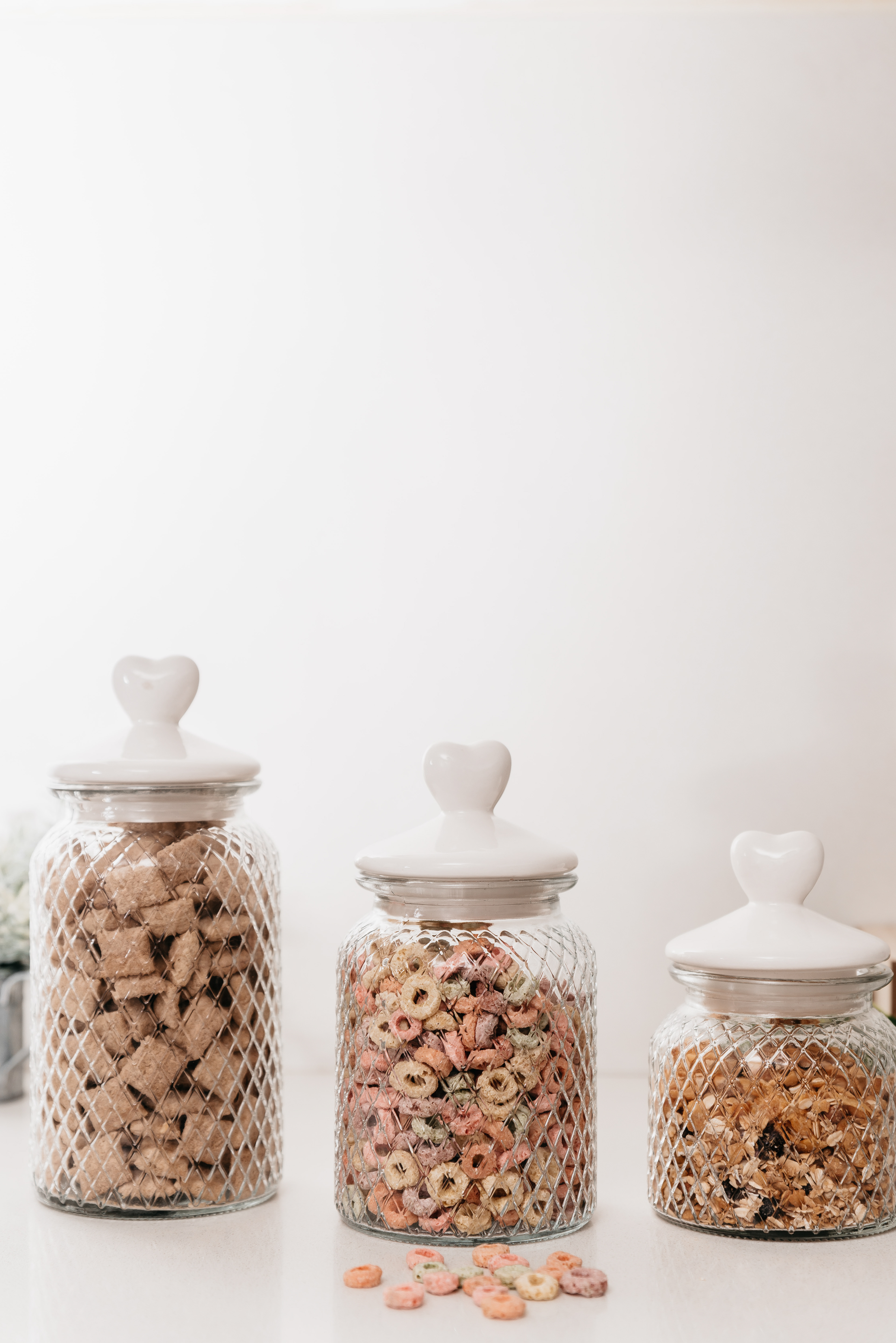 Copyright© ONPH fotografia. Todos los Derechos Reservados