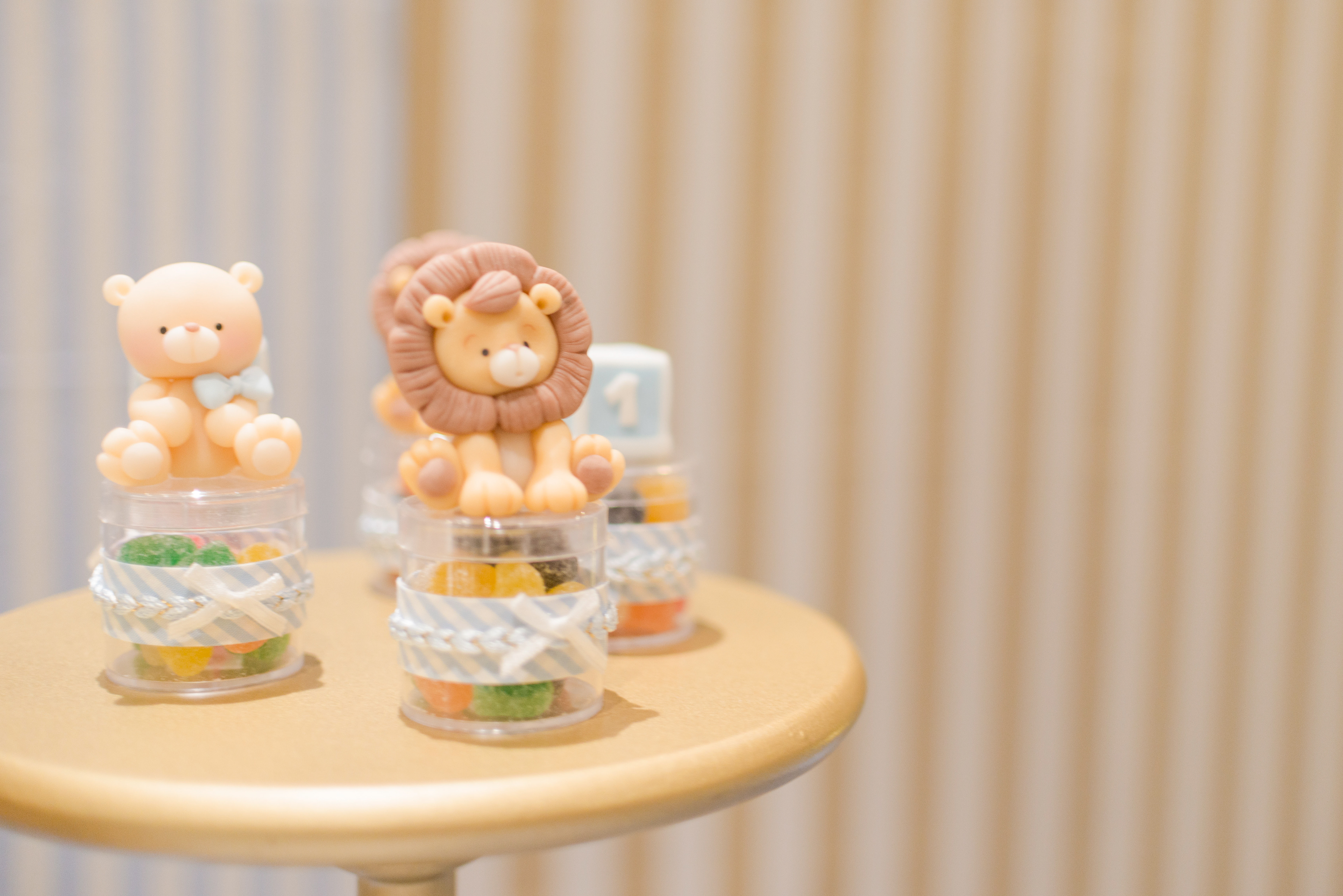 Copyright 2019 ONPH fotografía. Todos los derechos reservados.