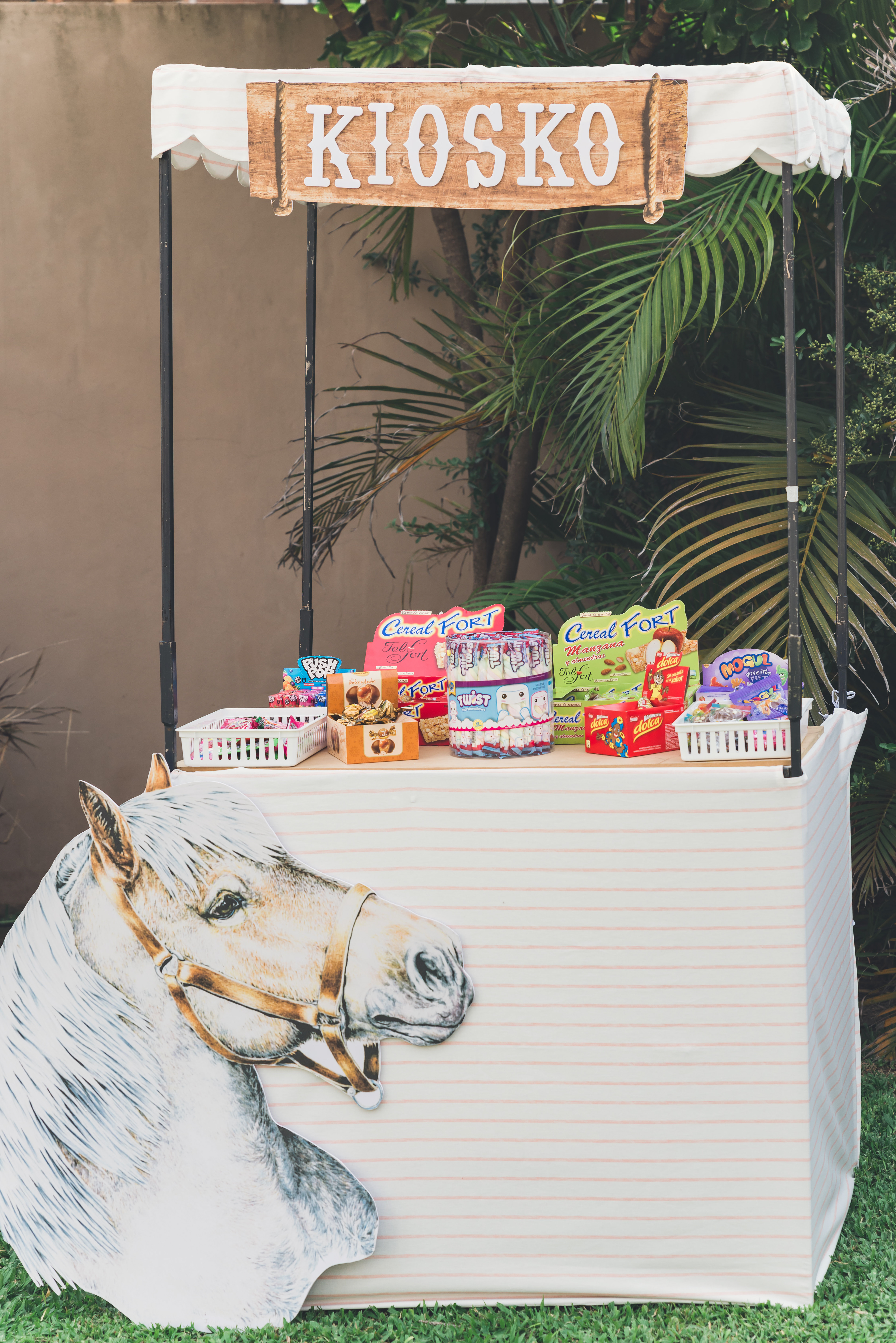 Copyright© ONPH fotografia. Todos los Derechos Reservados