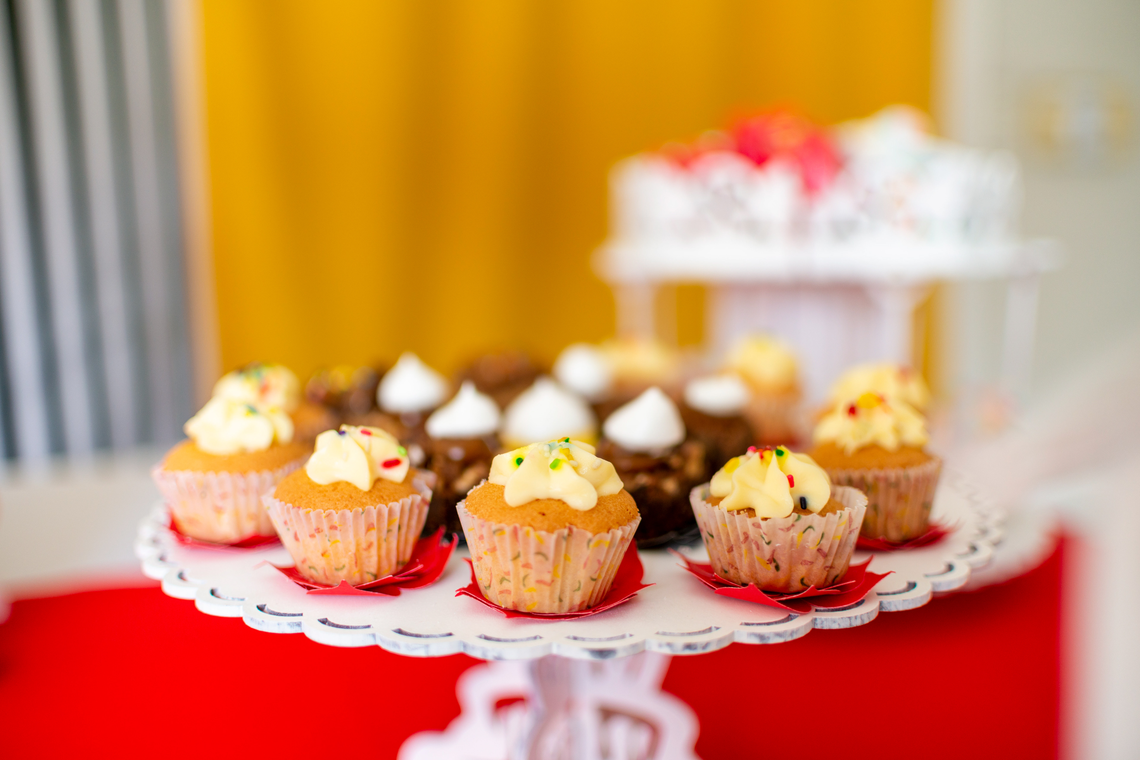  Copyright 2019 ONPH fotografía. Todos los derechos reservados.