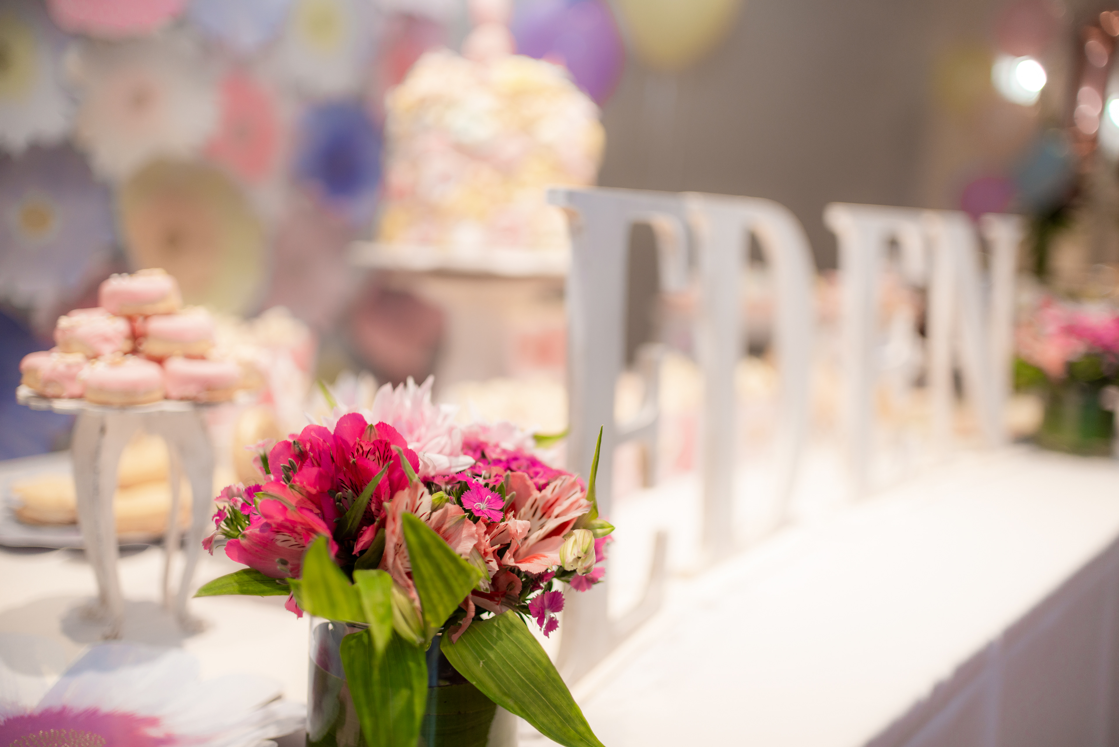 Copyright 2019 ONPH fotografía. Todos los derechos reservados.