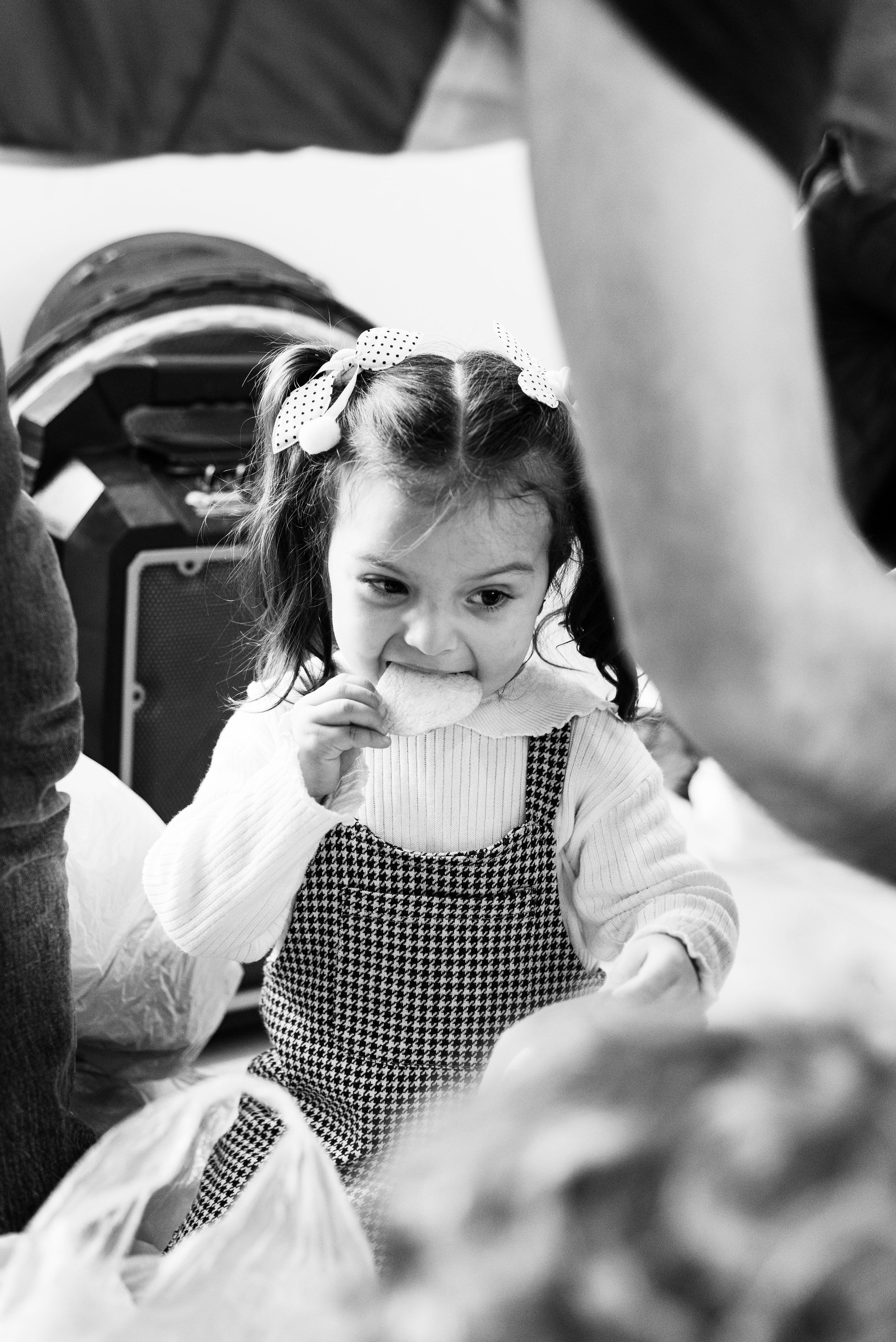 Copyright©2023 ONPH fotografia. Todos los Derechos Reservados