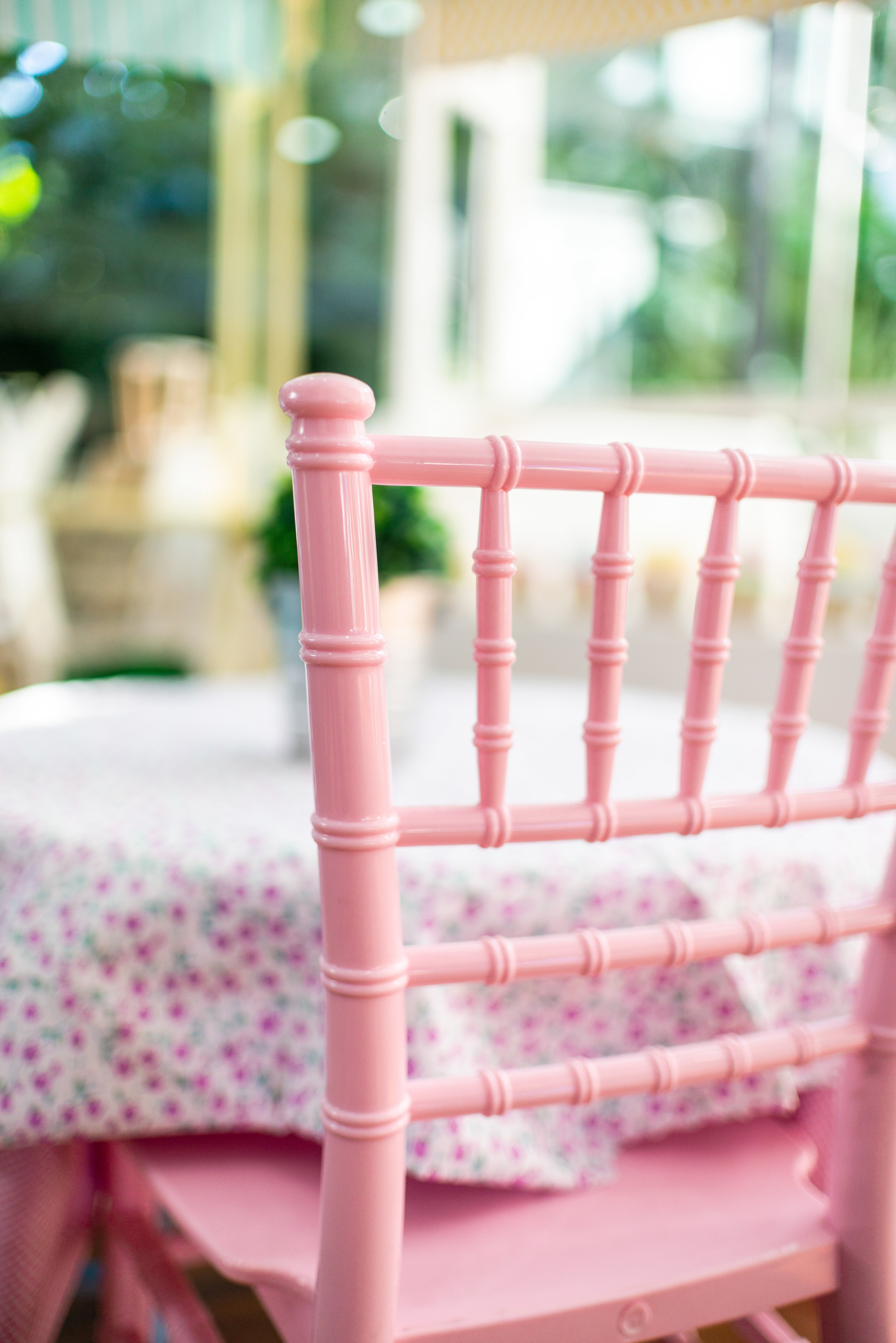  Copyright 2019 ONPH fotografía. Todos los derechos reservados.