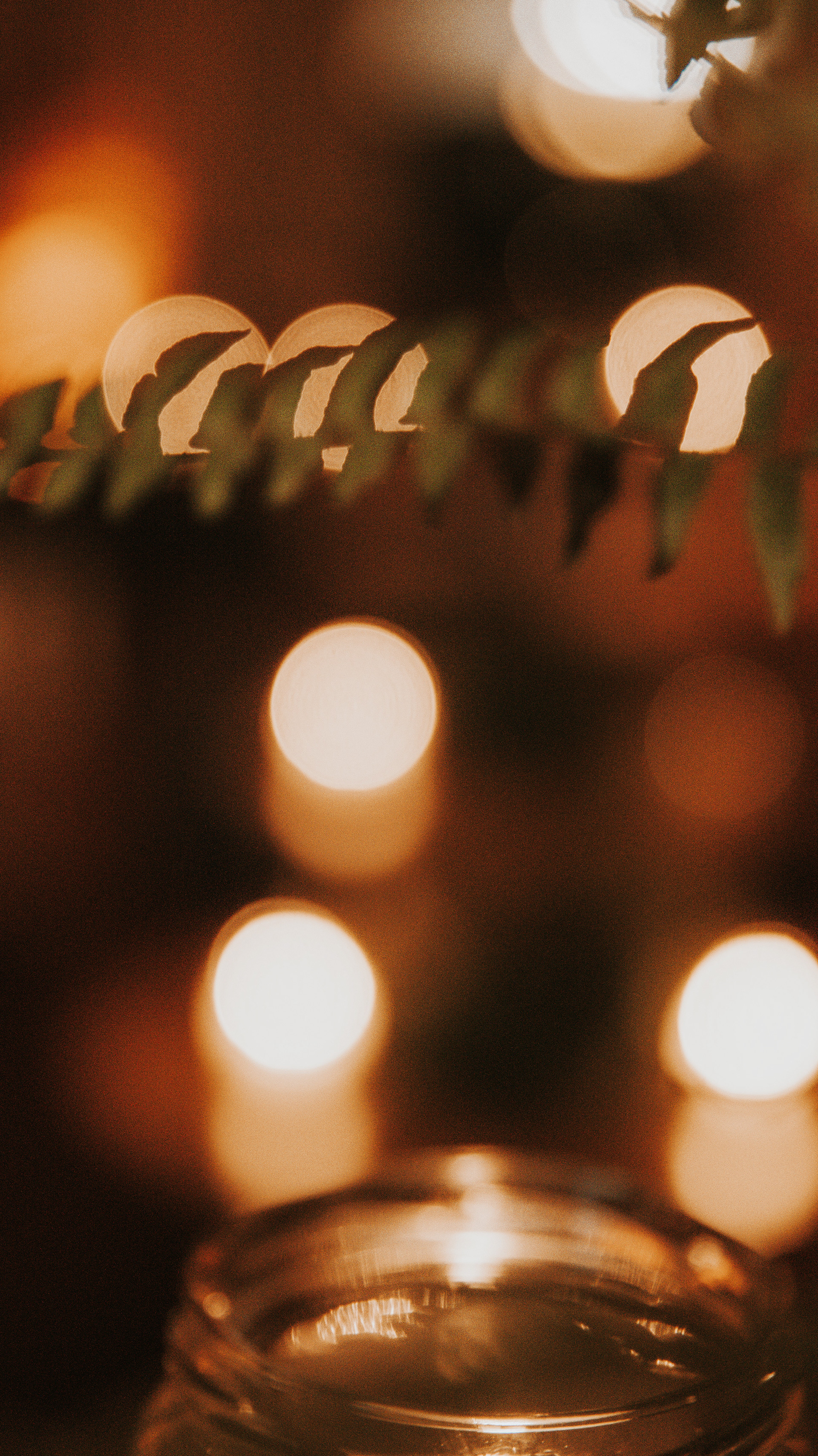 Copyright© ONPH fotografia. Todos los Derechos Reservados