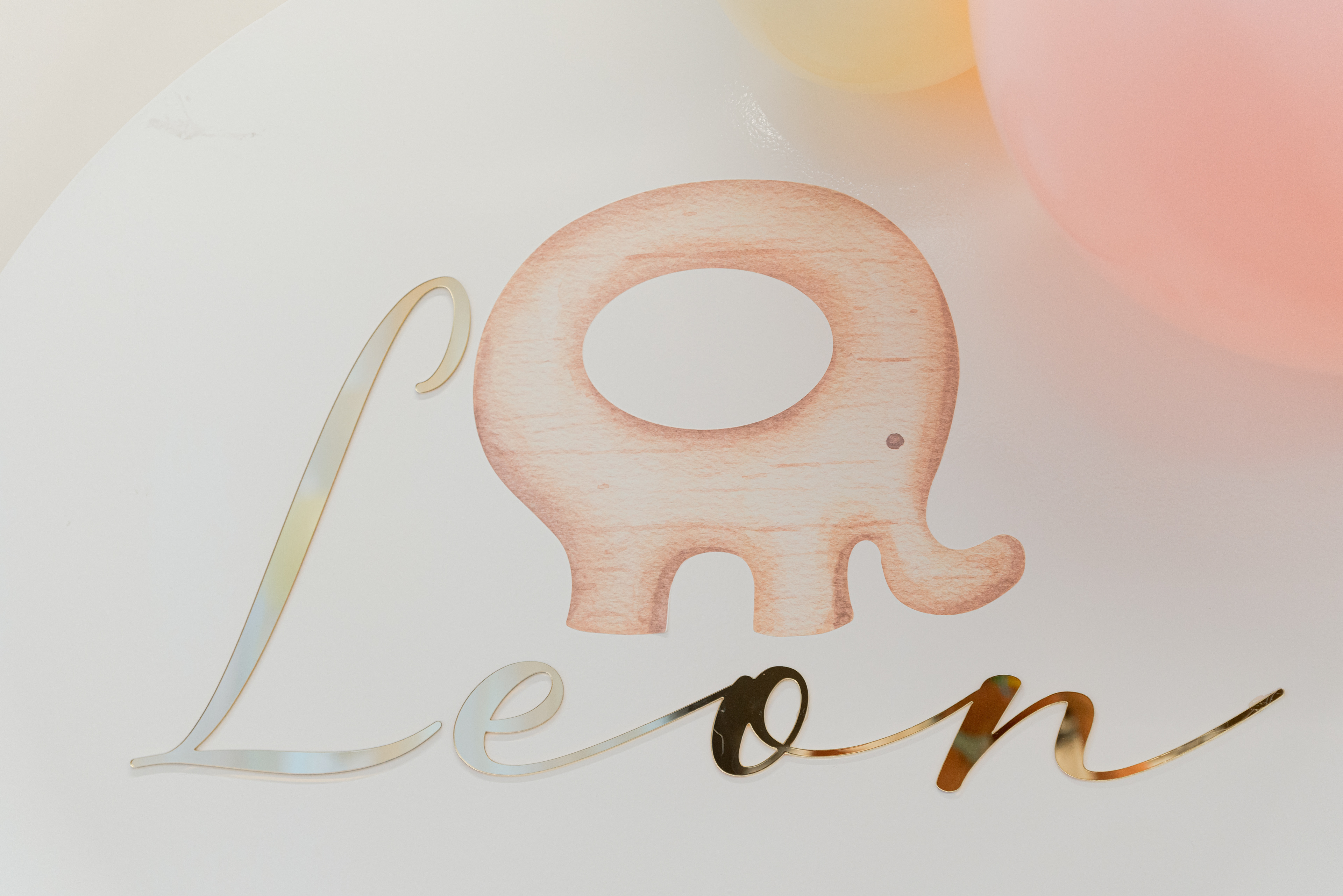 Copyright© ONPH fotografia. Todos los Derechos Reservados