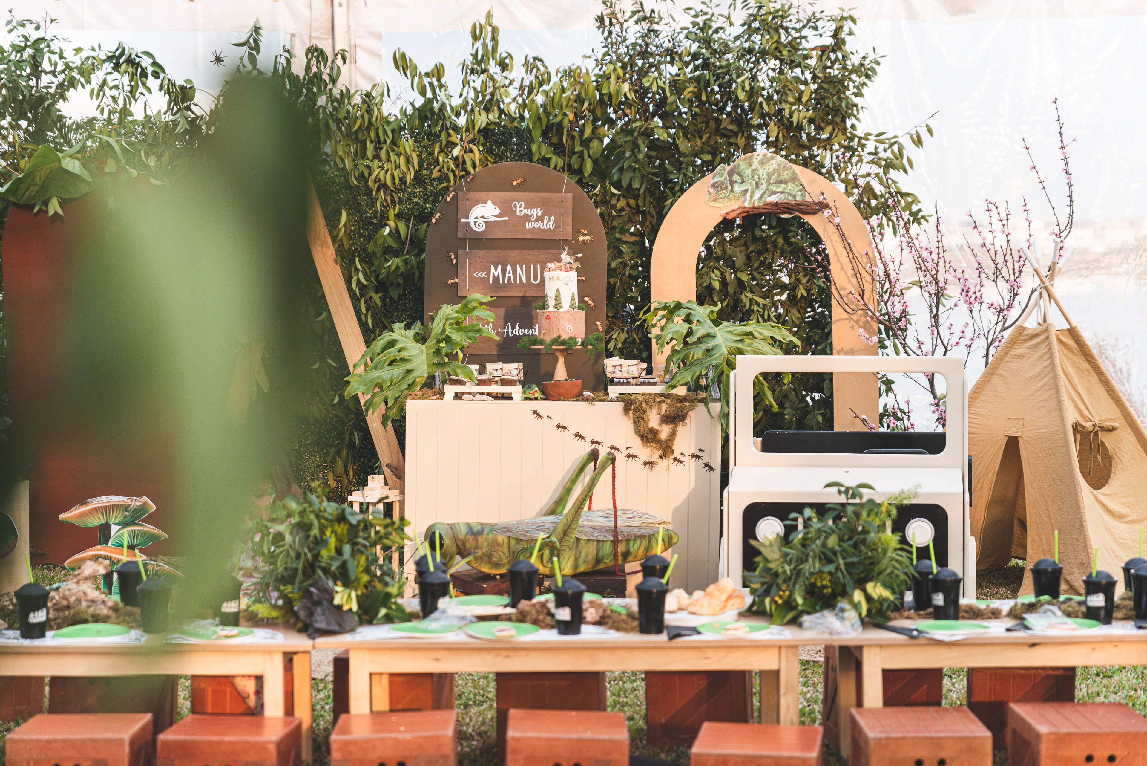 Copyright© ONPH fotografia. Todos los Derechos Reservados