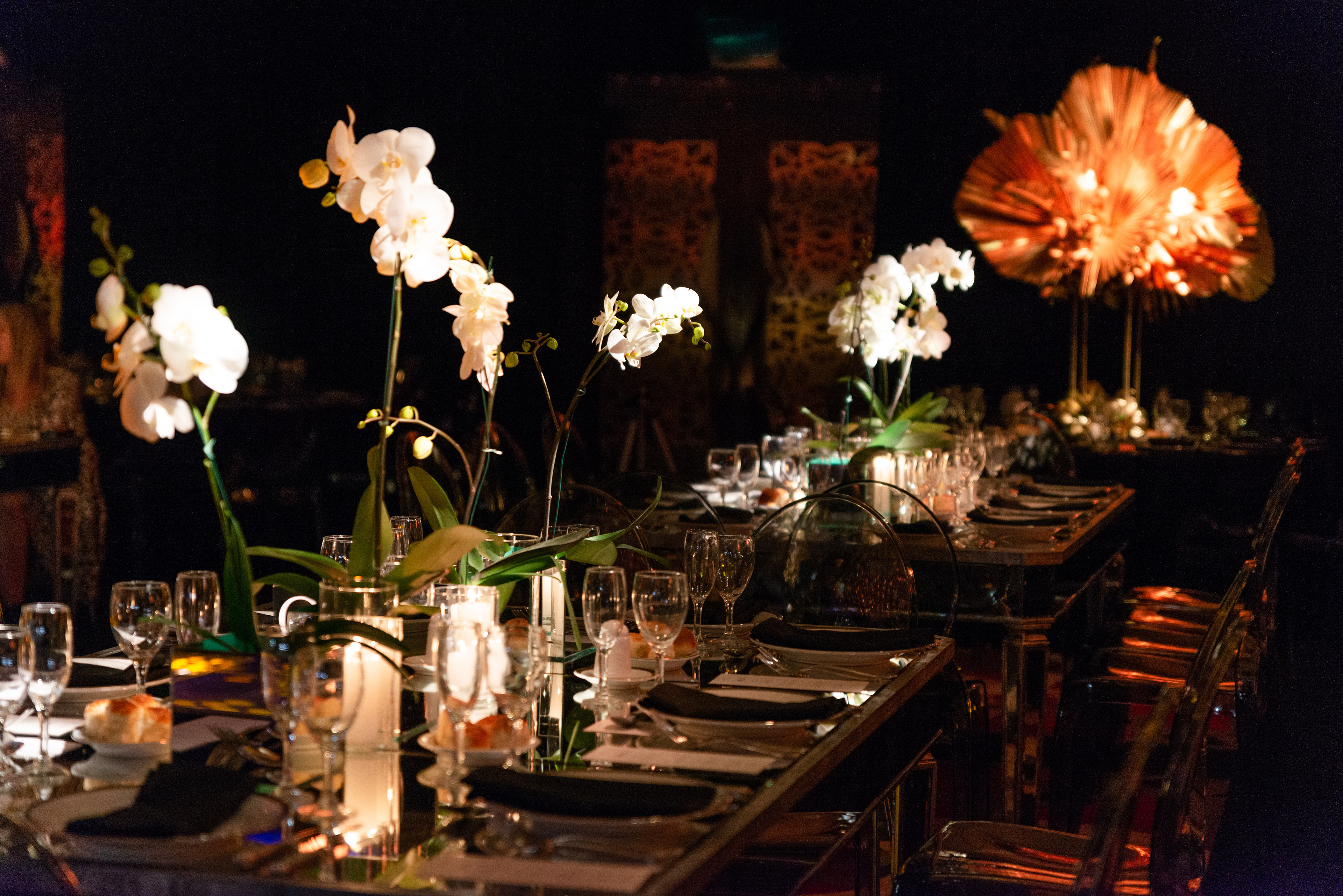 Copyright© ONPH fotografia. Todos los Derechos Reservados