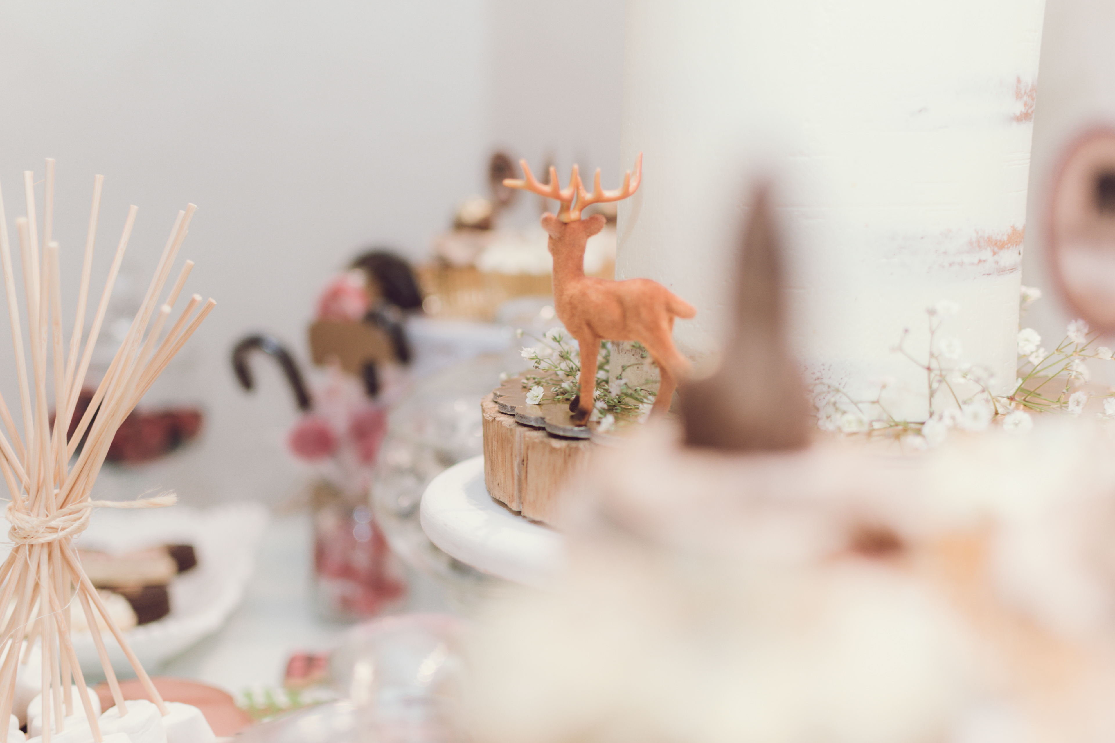 Copyright 2019 ONPH fotografía. Todos los derechos reservados.