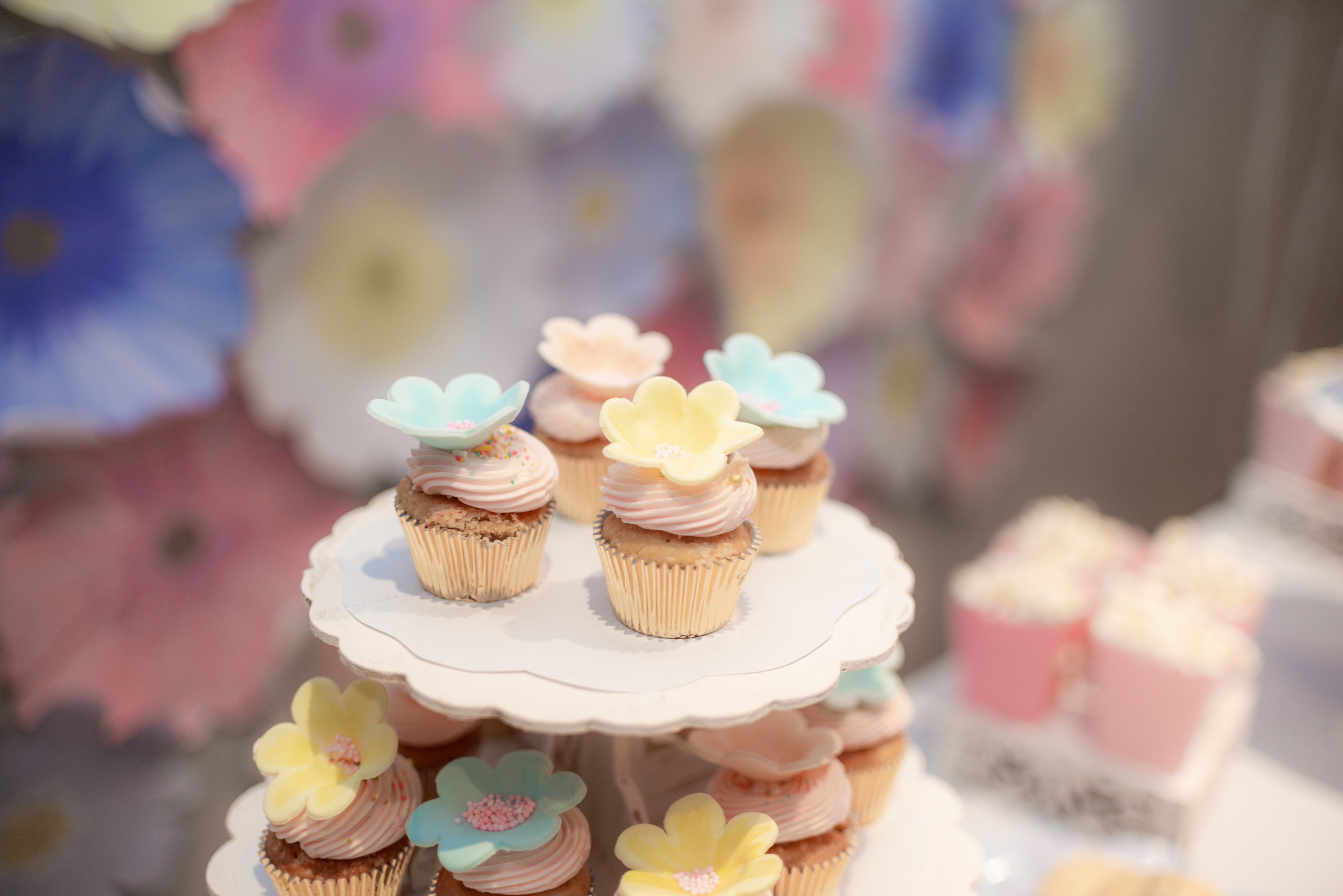 Copyright 2019 ONPH fotografía. Todos los derechos reservados.