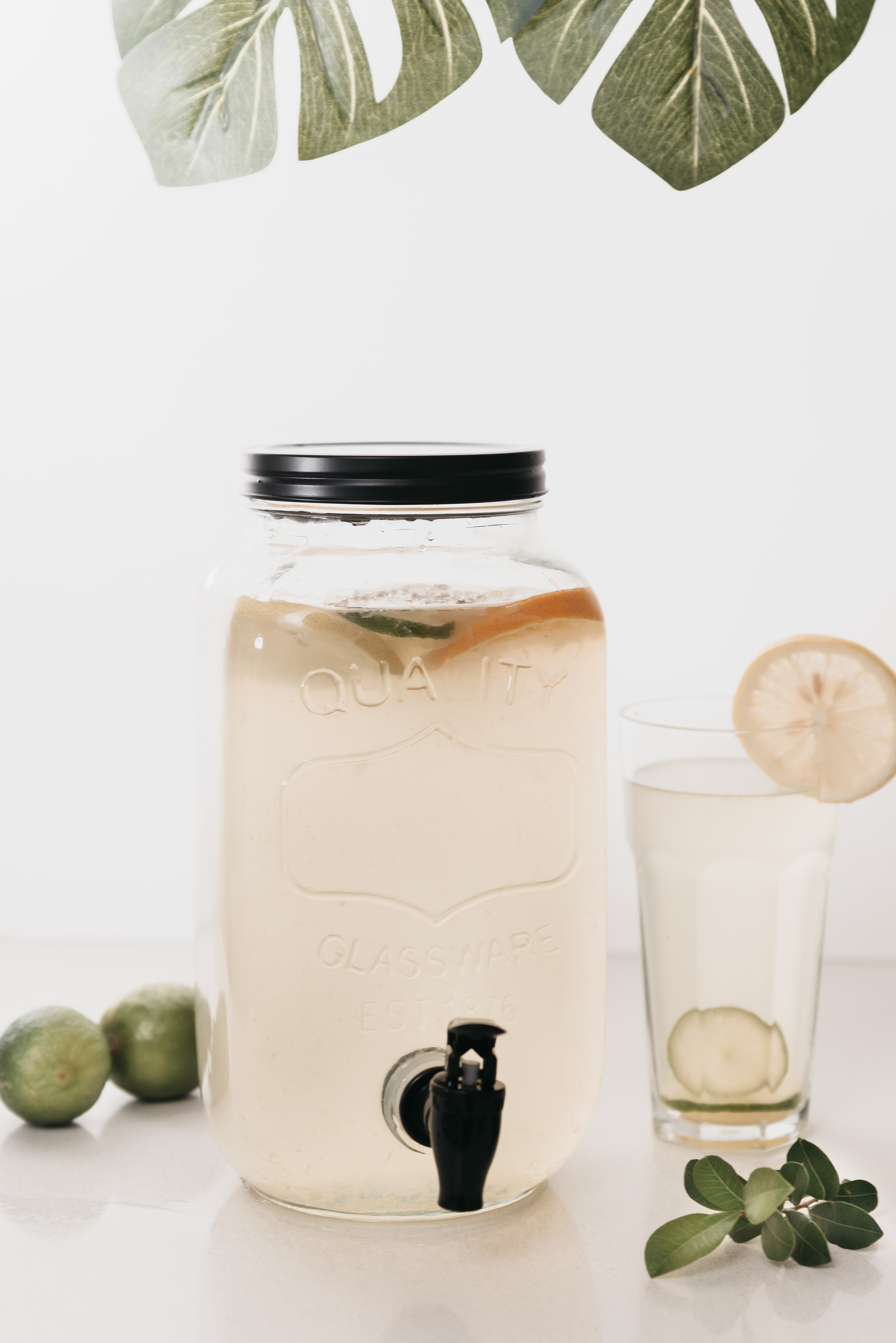 Copyright© ONPH fotografia. Todos los Derechos Reservados