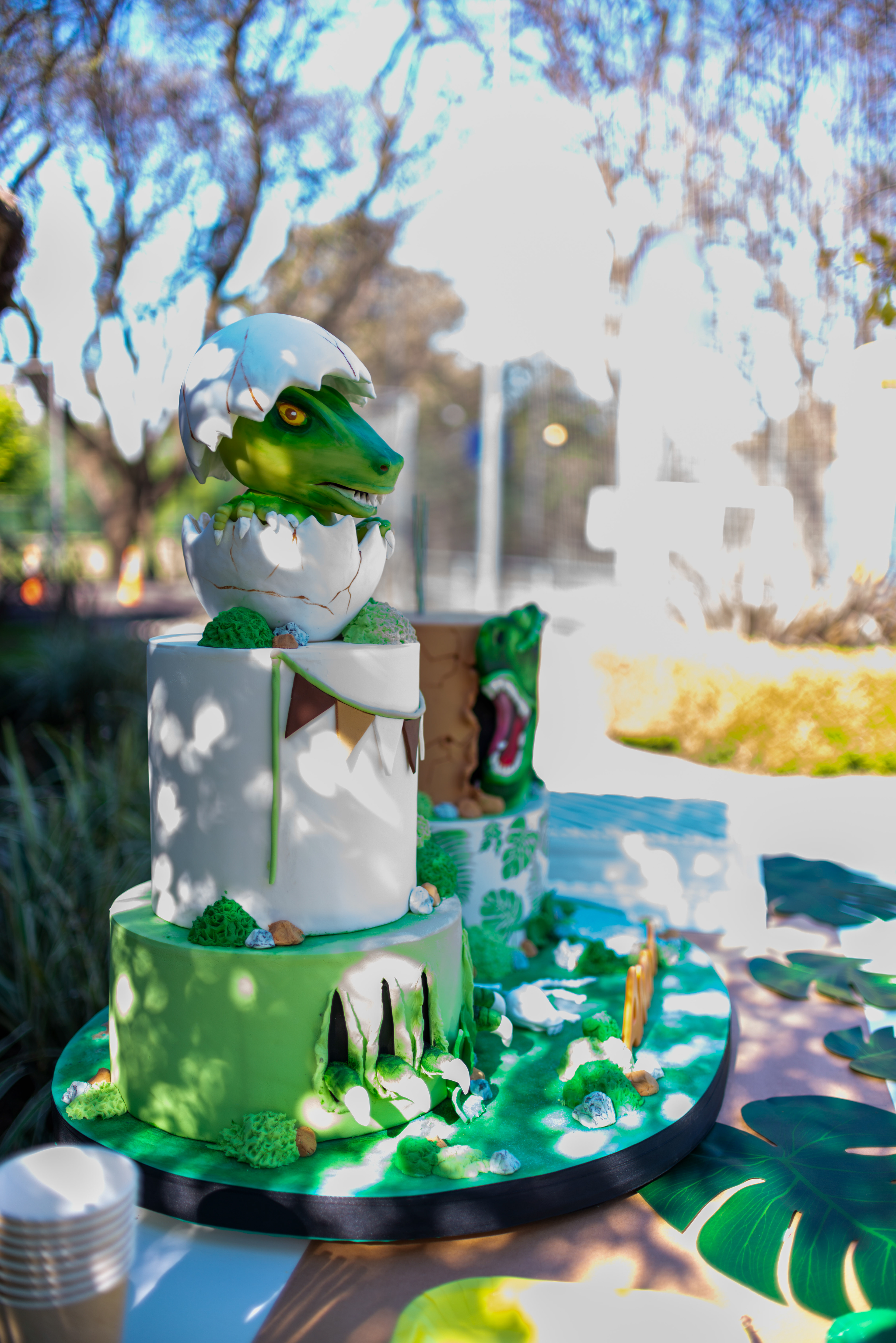 Copyright 2019 ONPH fotografía. Todos los derechos reservados.