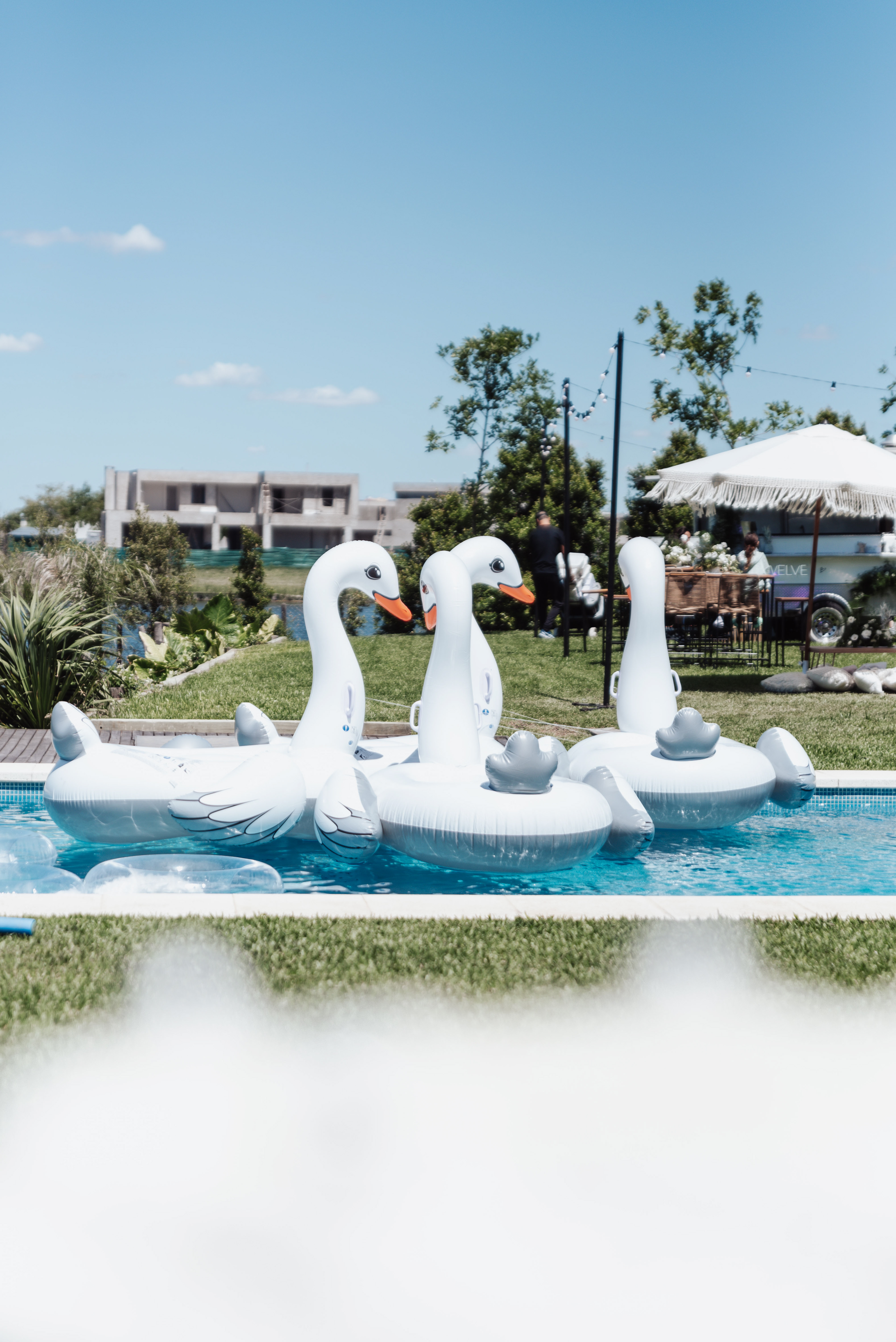 Copyright©2023 ONPH fotografia. Todos los Derechos Reservados