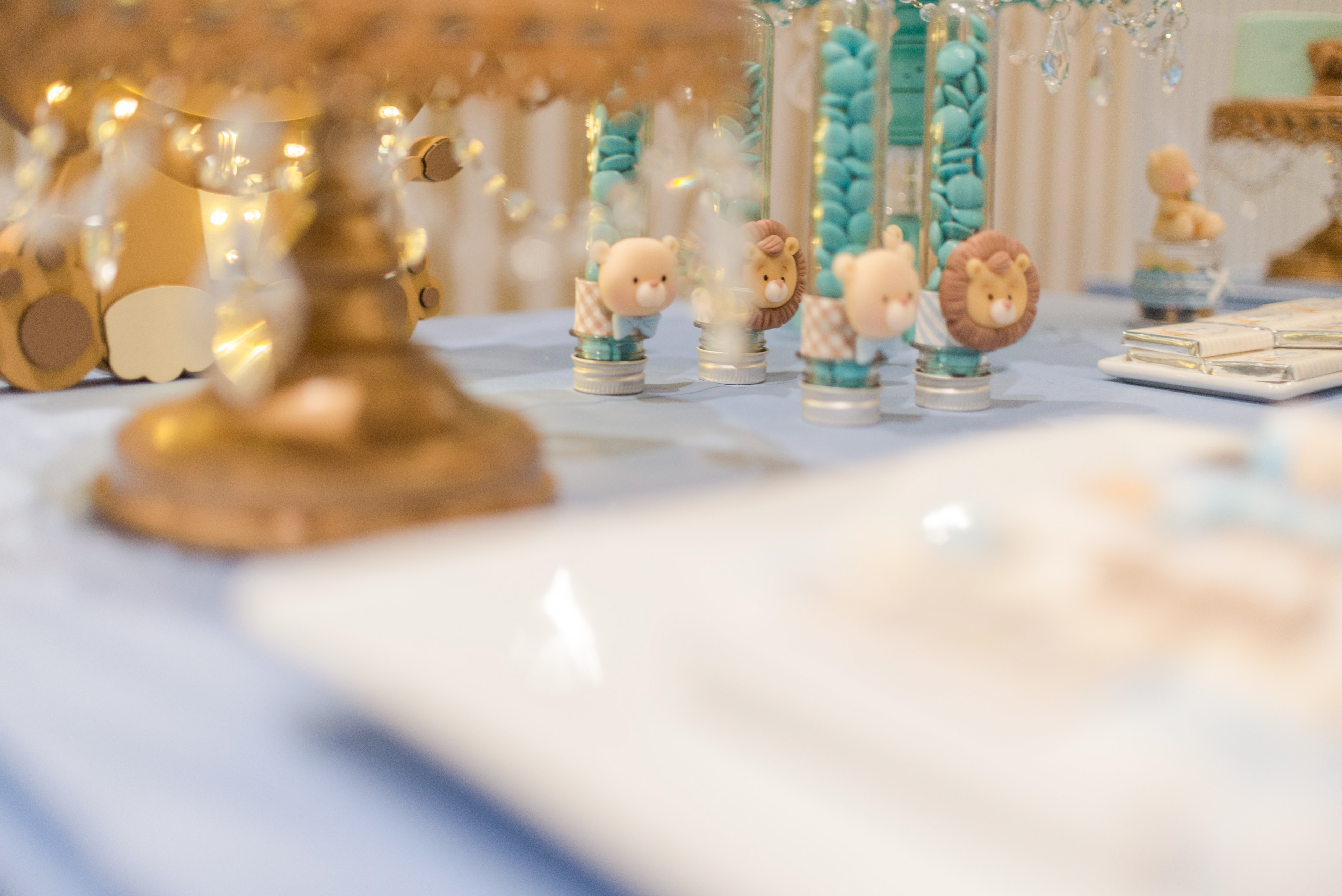 Copyright 2019 ONPH fotografía. Todos los derechos reservados.