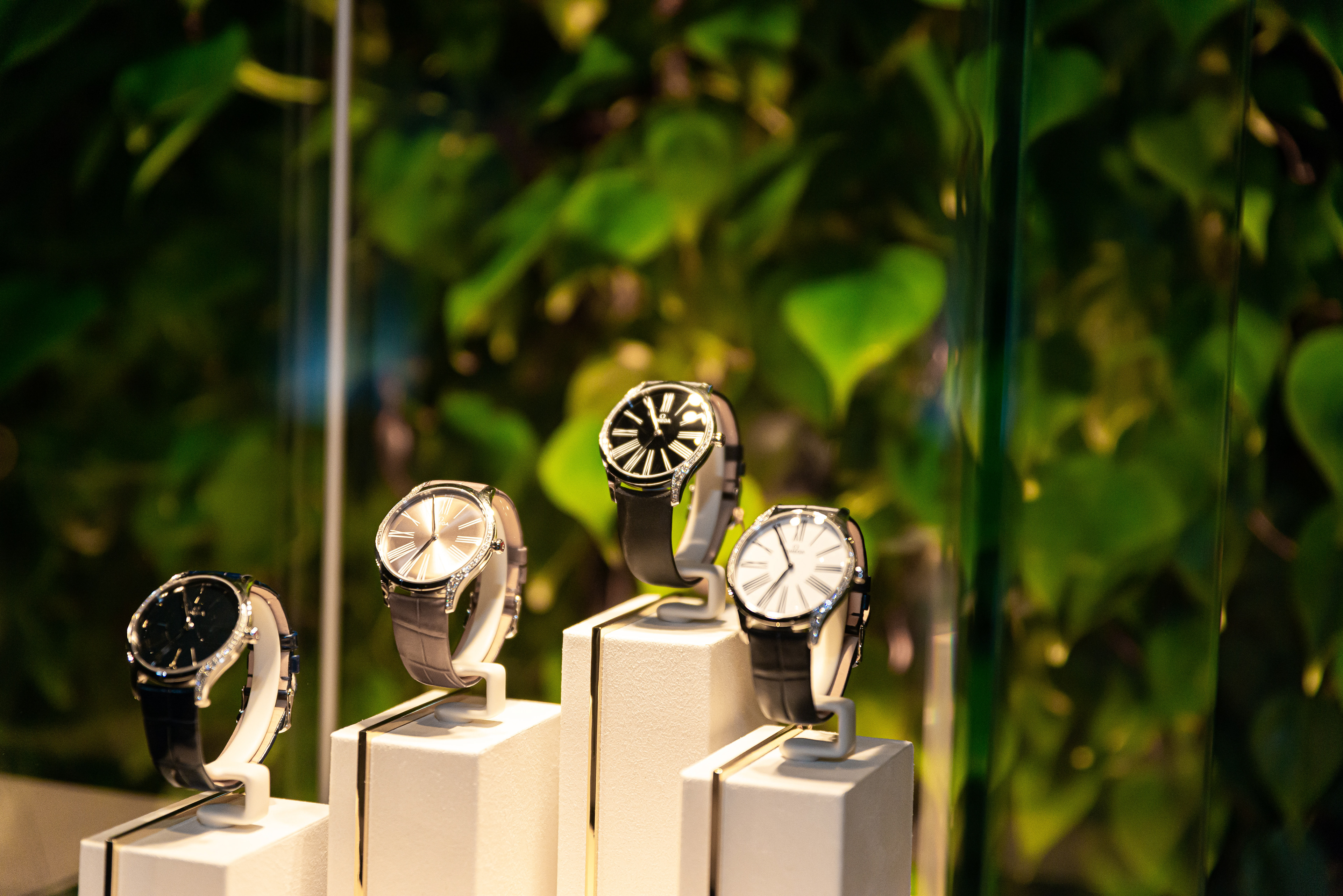 Copyright©2022 ONPH fotografia. Todos los Derechos Reservados