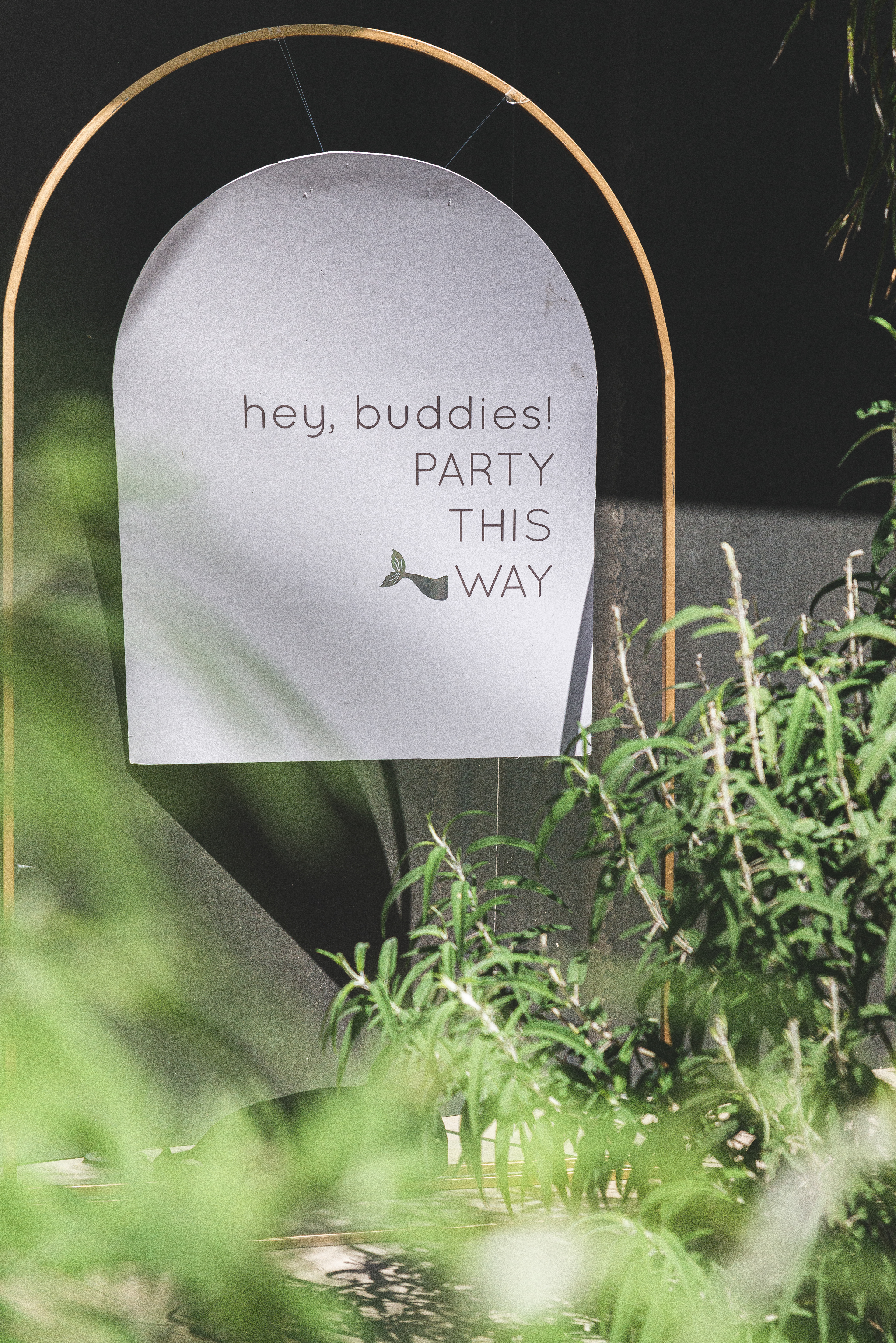 Copyright© ONPH fotografia. Todos los Derechos Reservados