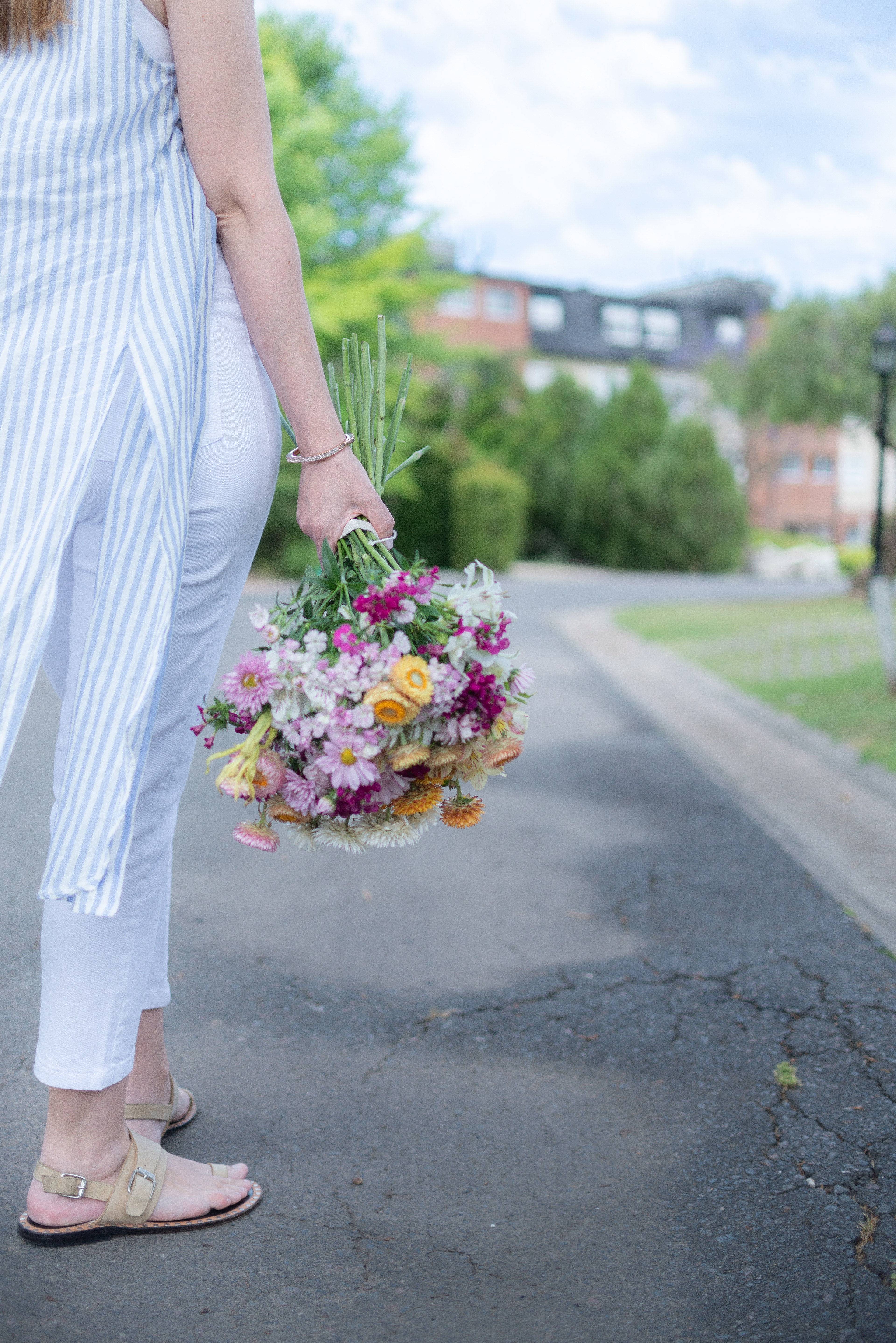 Copyright 2019 ONPH fotografía. Todos los derechos reservados.