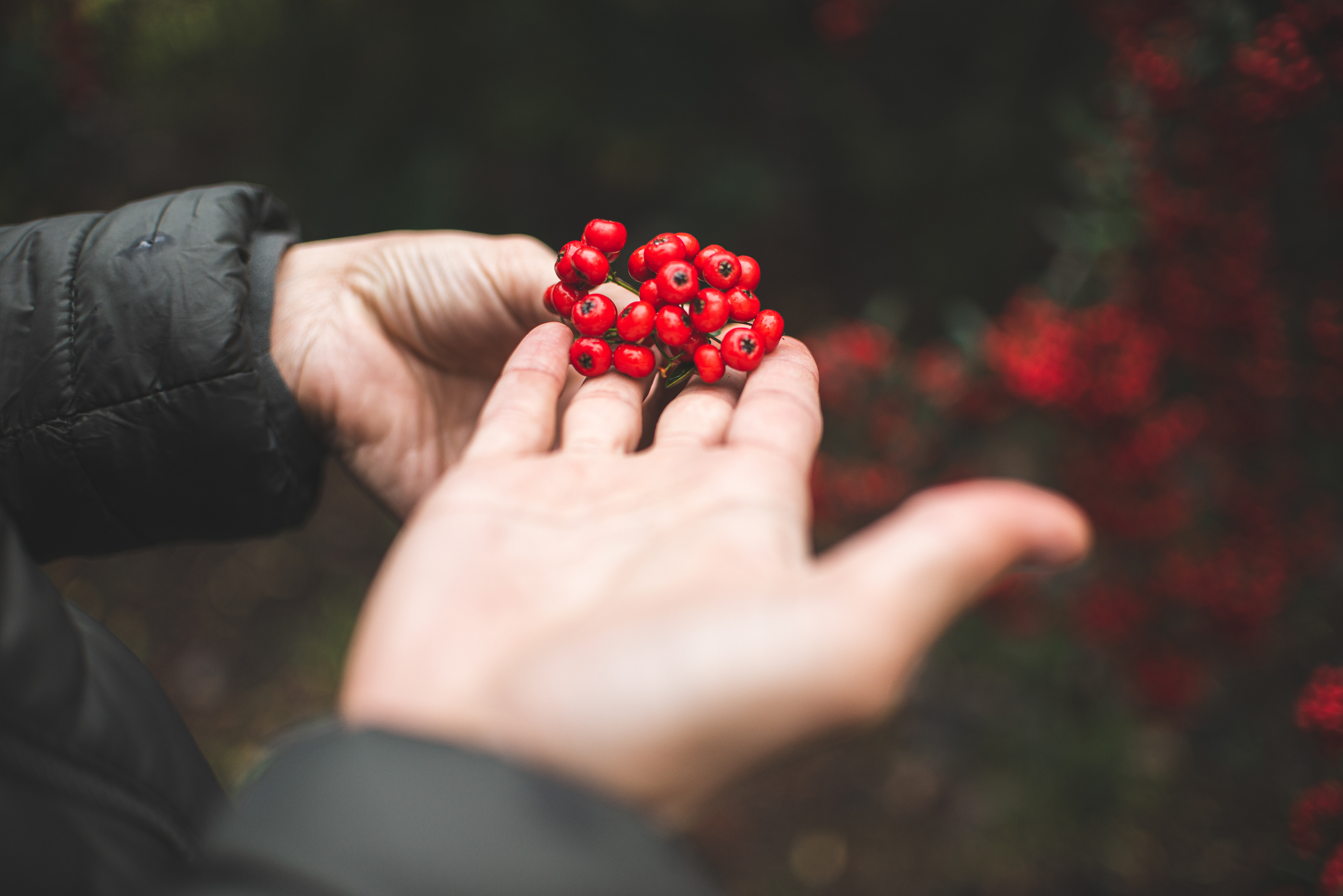 Copyright© 2021 ONPH fotografía. Todos los derechos reservados.