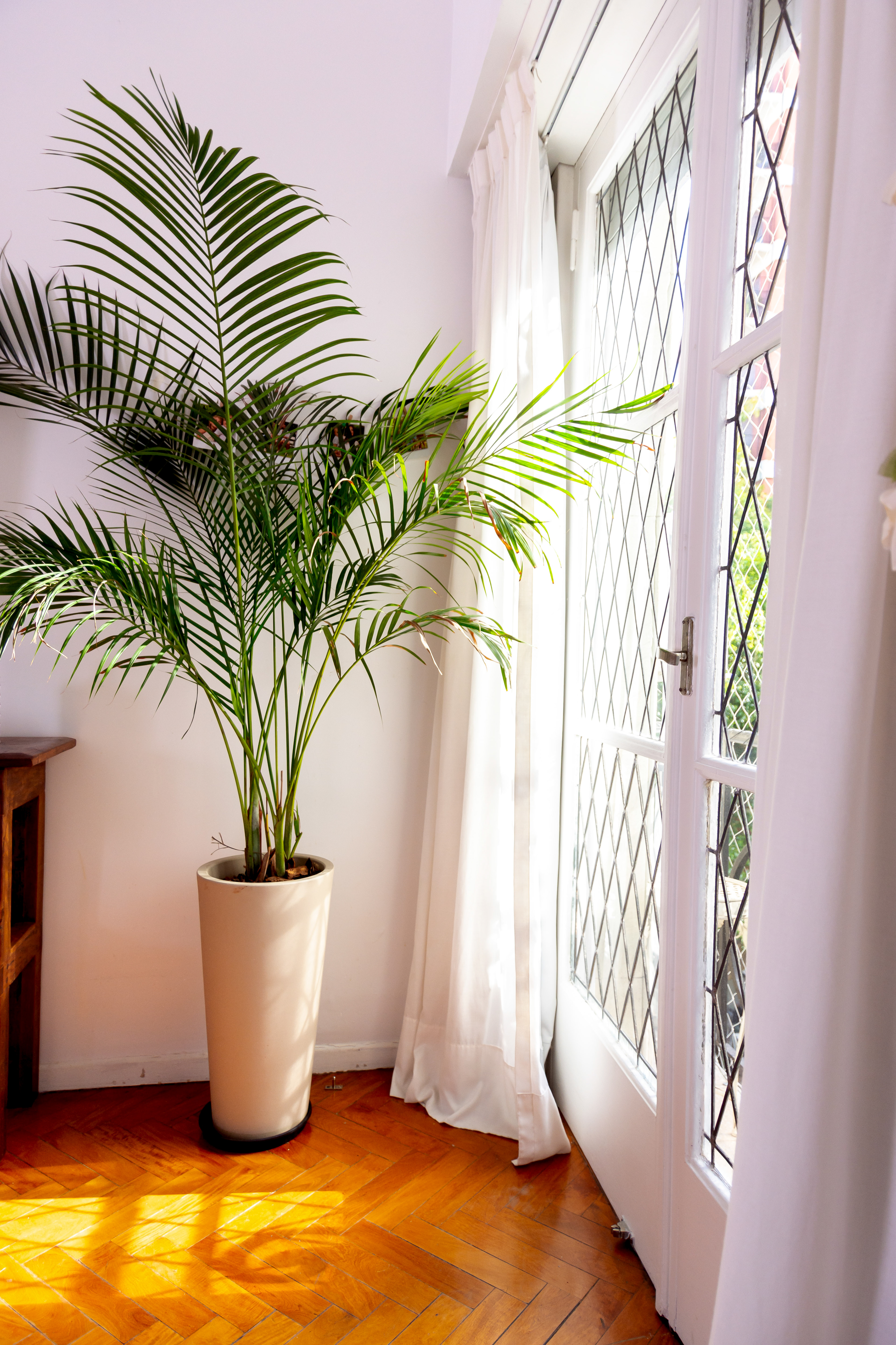 Copyright ONPH fotografía. Todos los derechos reservados.