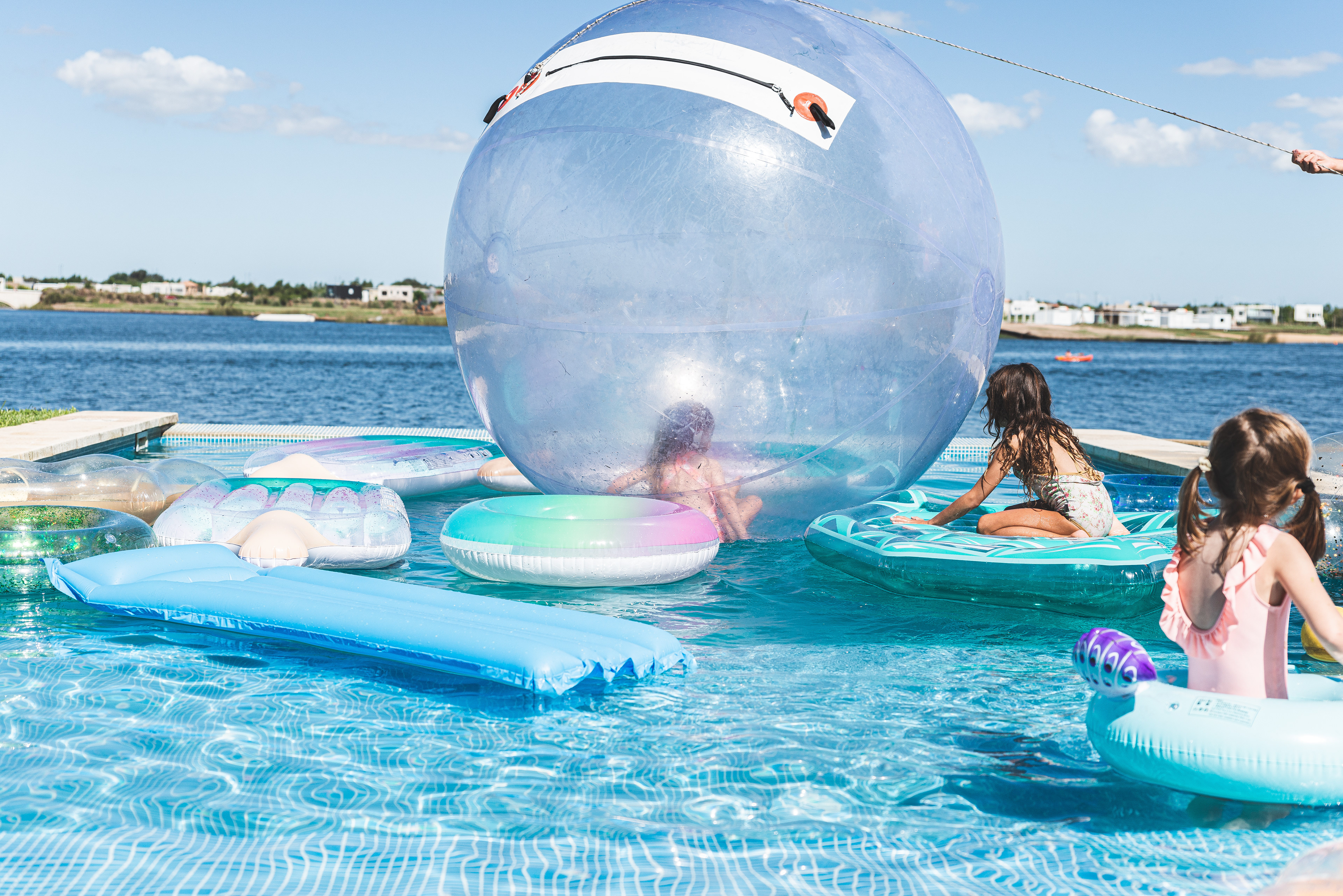 Copyright© ONPH fotografia. Todos los Derechos Reservados