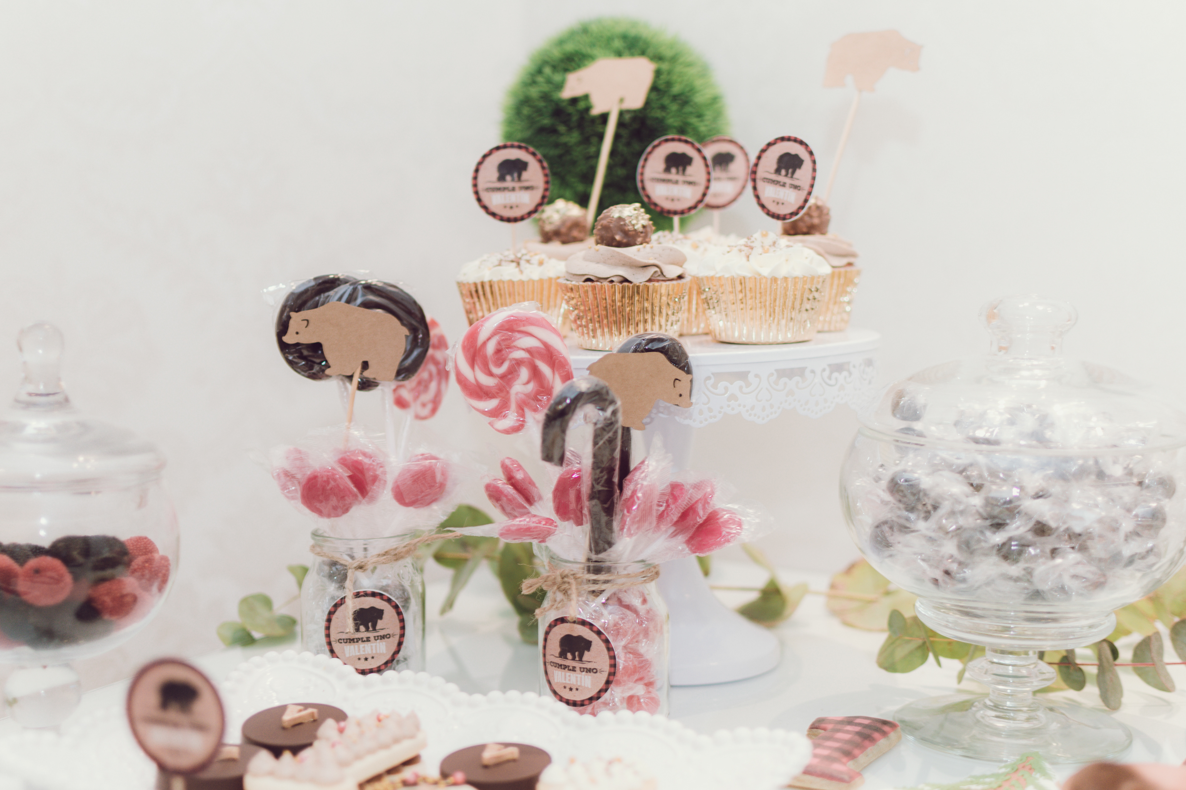 Copyright 2019 ONPH fotografía. Todos los derechos reservados.