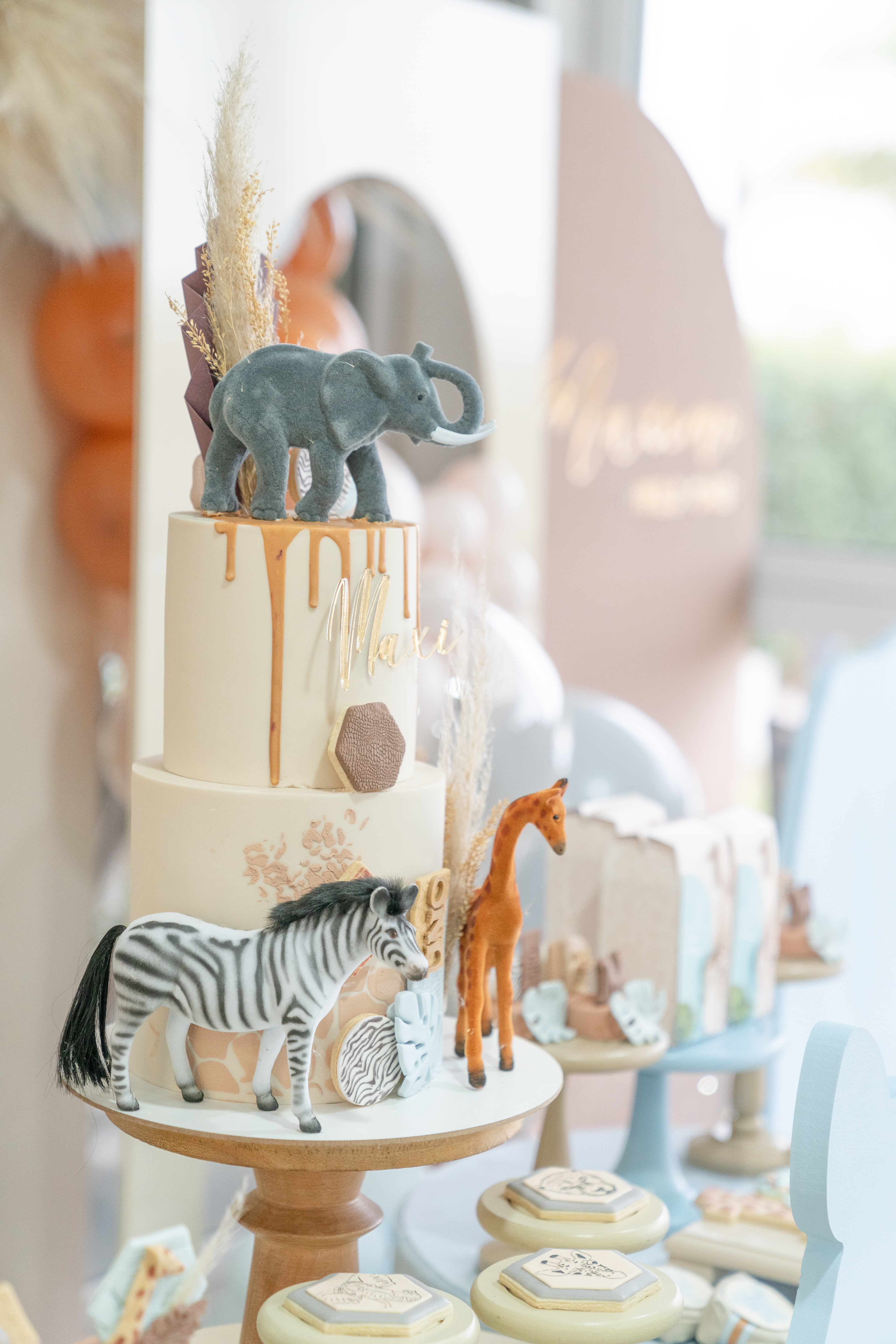 Copyright© ONPH fotografia. Todos los Derechos Reservados